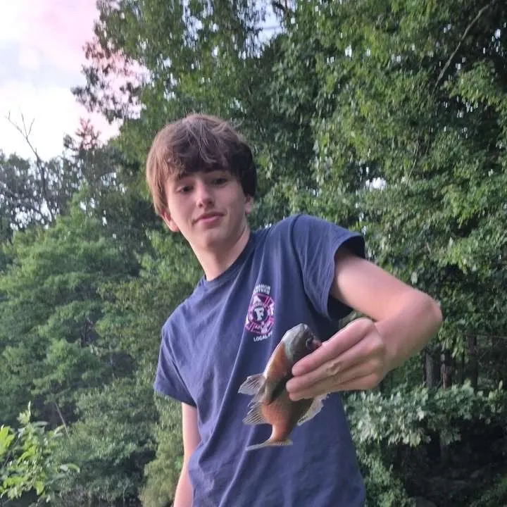 Smallmouth bass caught on Fishbrain