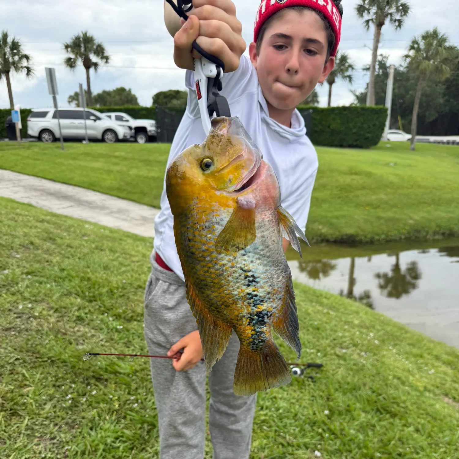 catch