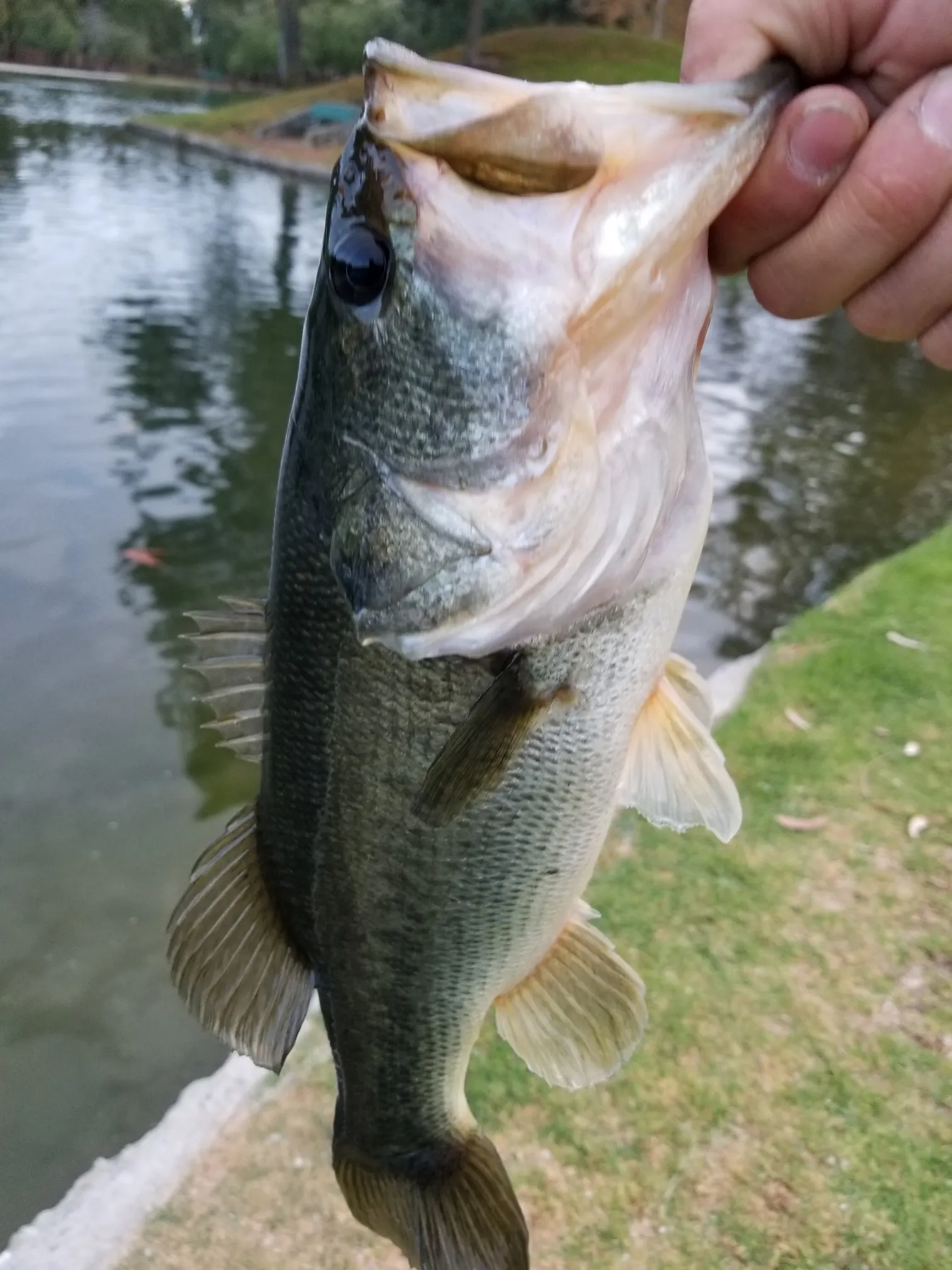 Post image from 96thcast