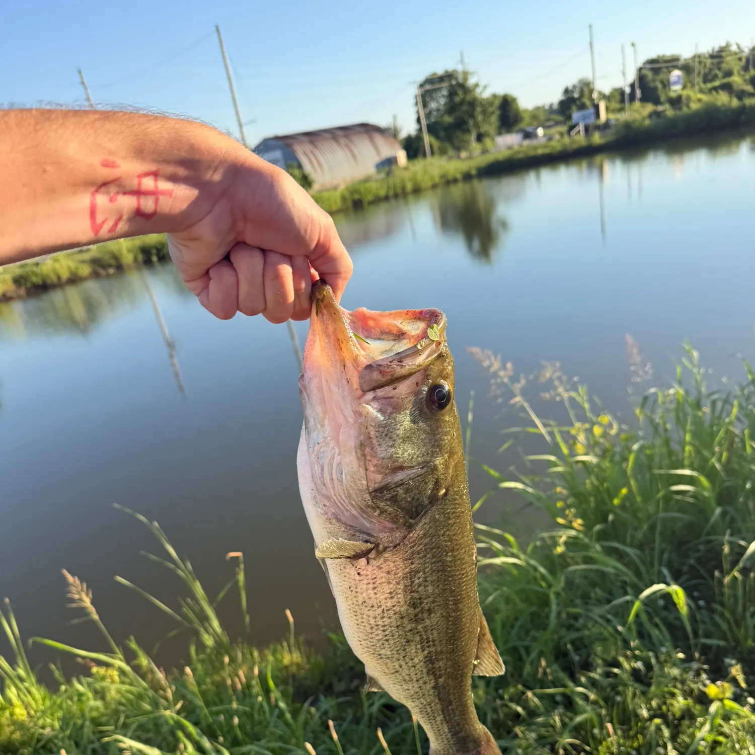 catch