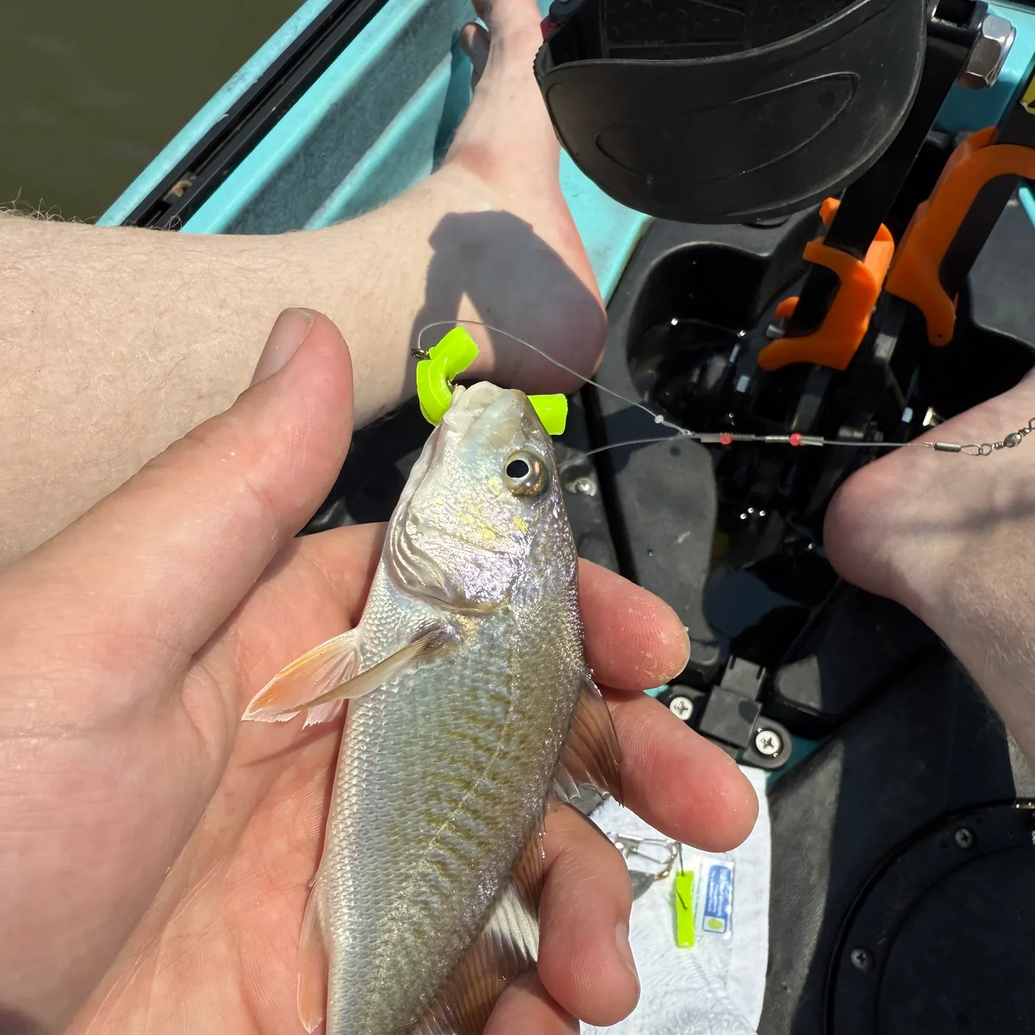 The most recent Atlantic croaker catches on Fishbrain