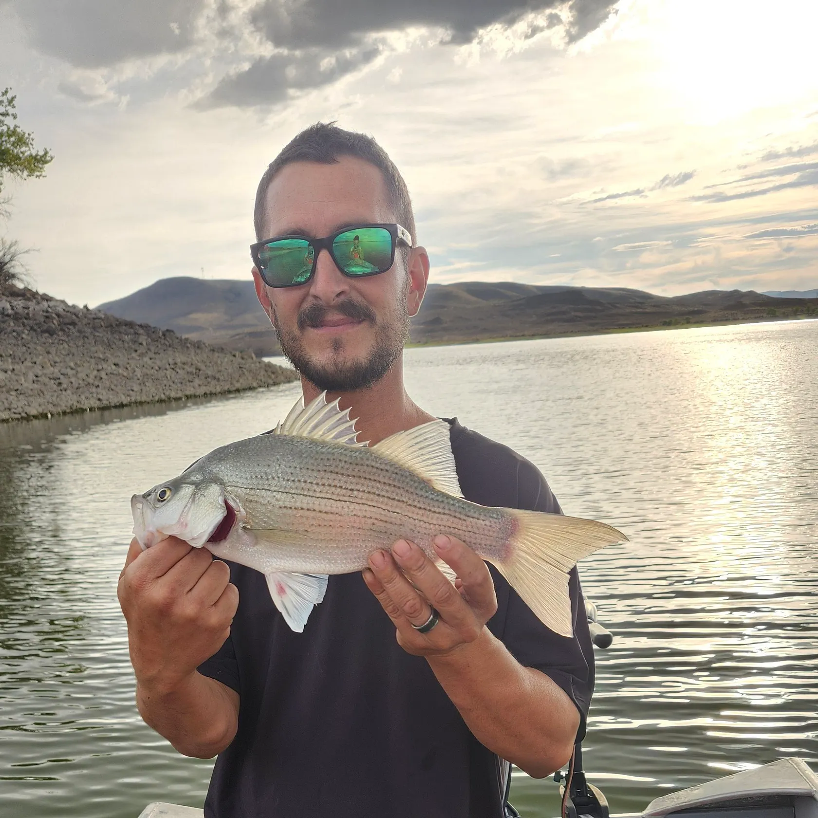 Wiper caught on Fishbrain