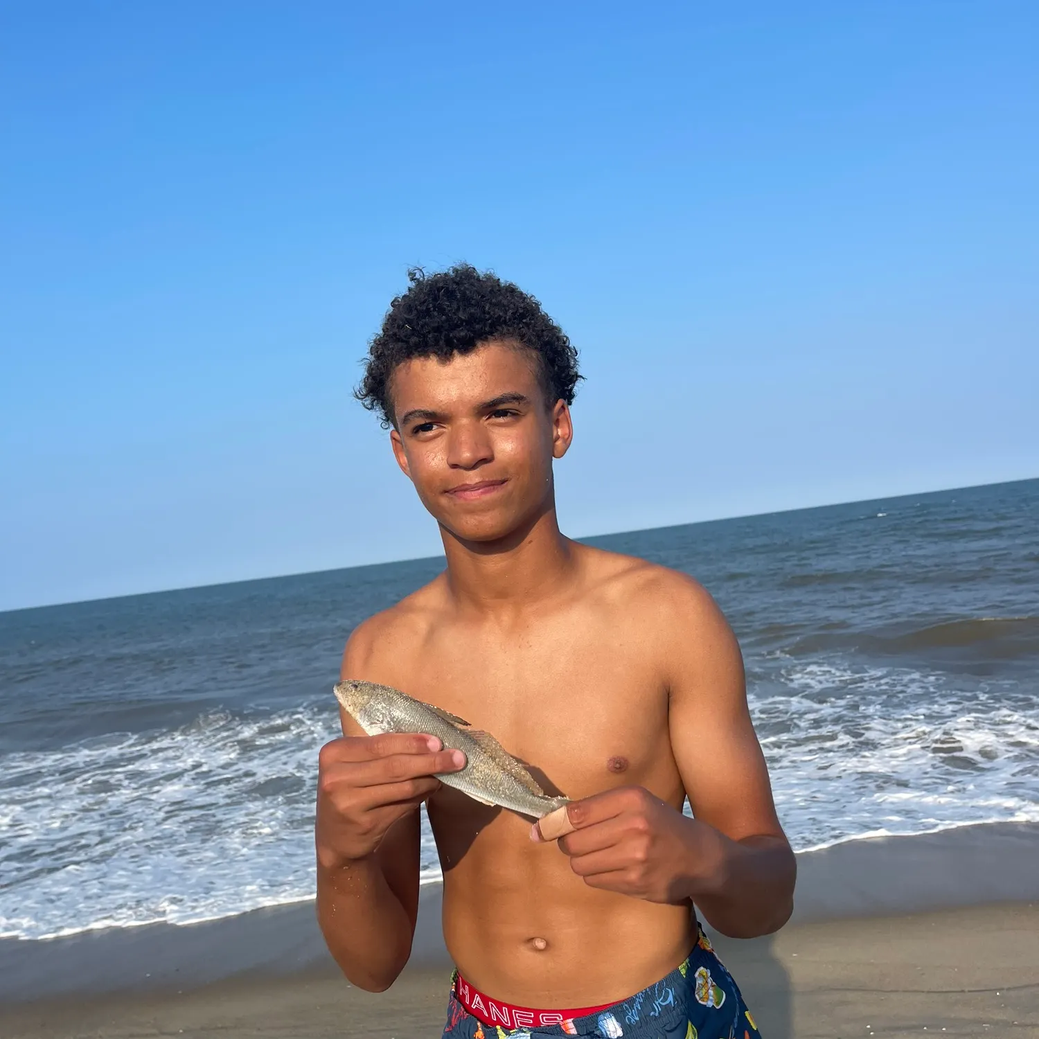 The most recent Gulf kingcroaker catches on Fishbrain