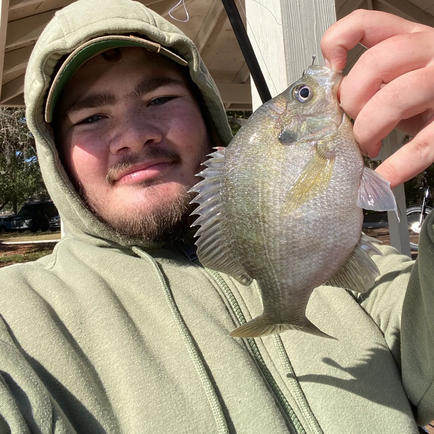 The most recent Bluegill catches on Fishbrain