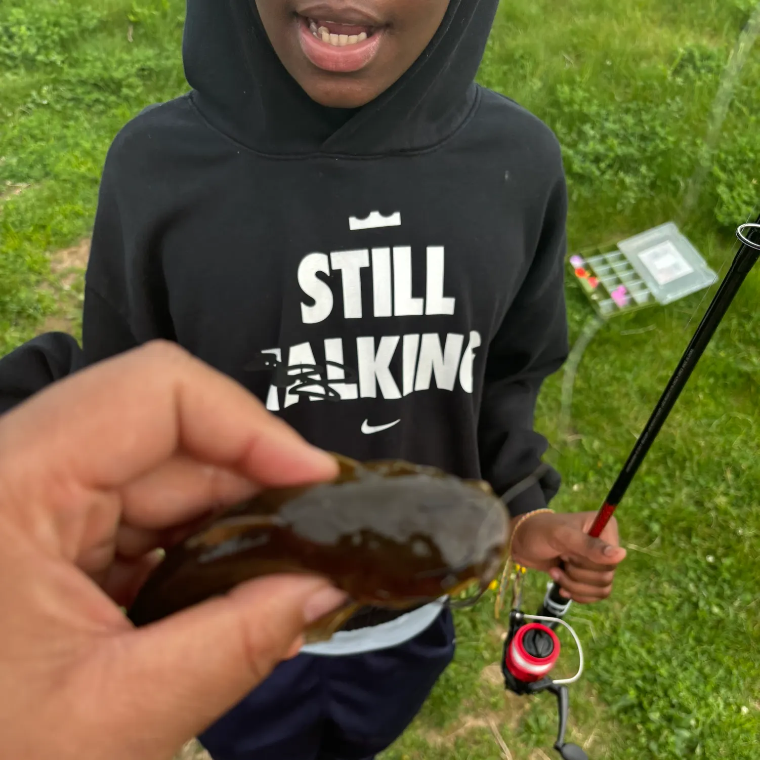 The most recent Yellow bullhead catches on Fishbrain