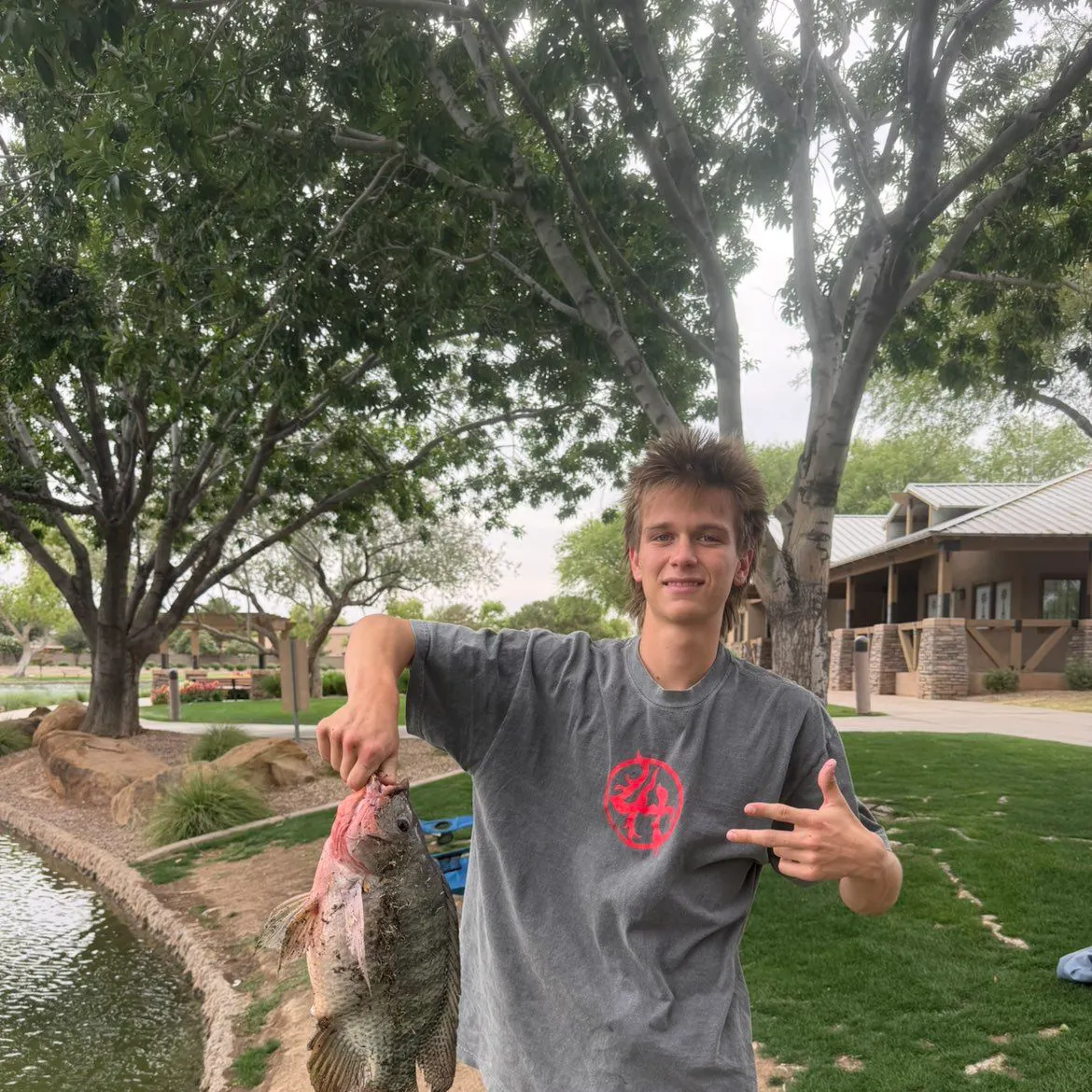 The most recent Redbreast tilapia catches on Fishbrain