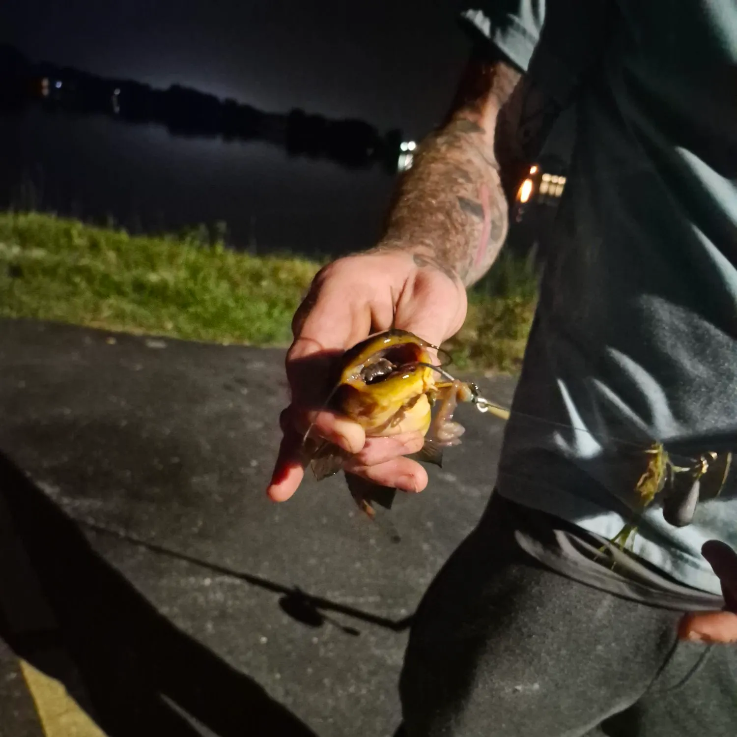 catch