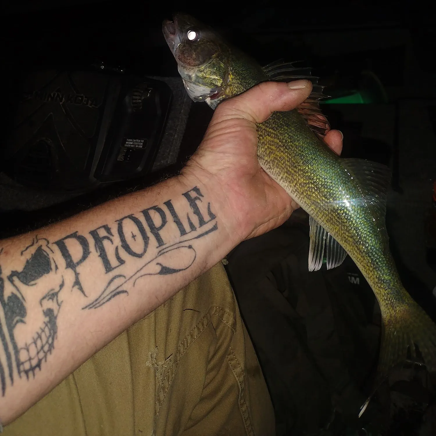 Walleye caught on Fishbrain