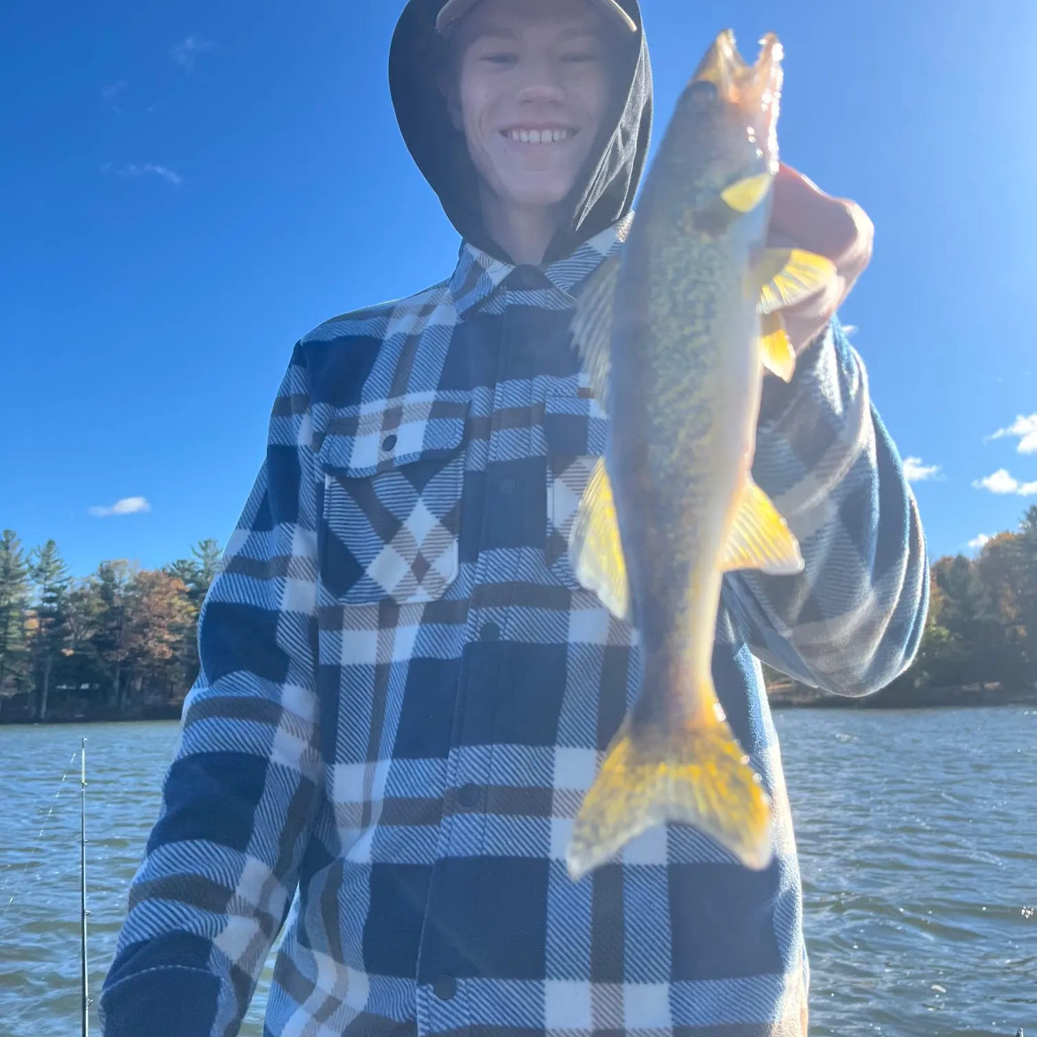 Walleye caught on Fishbrain