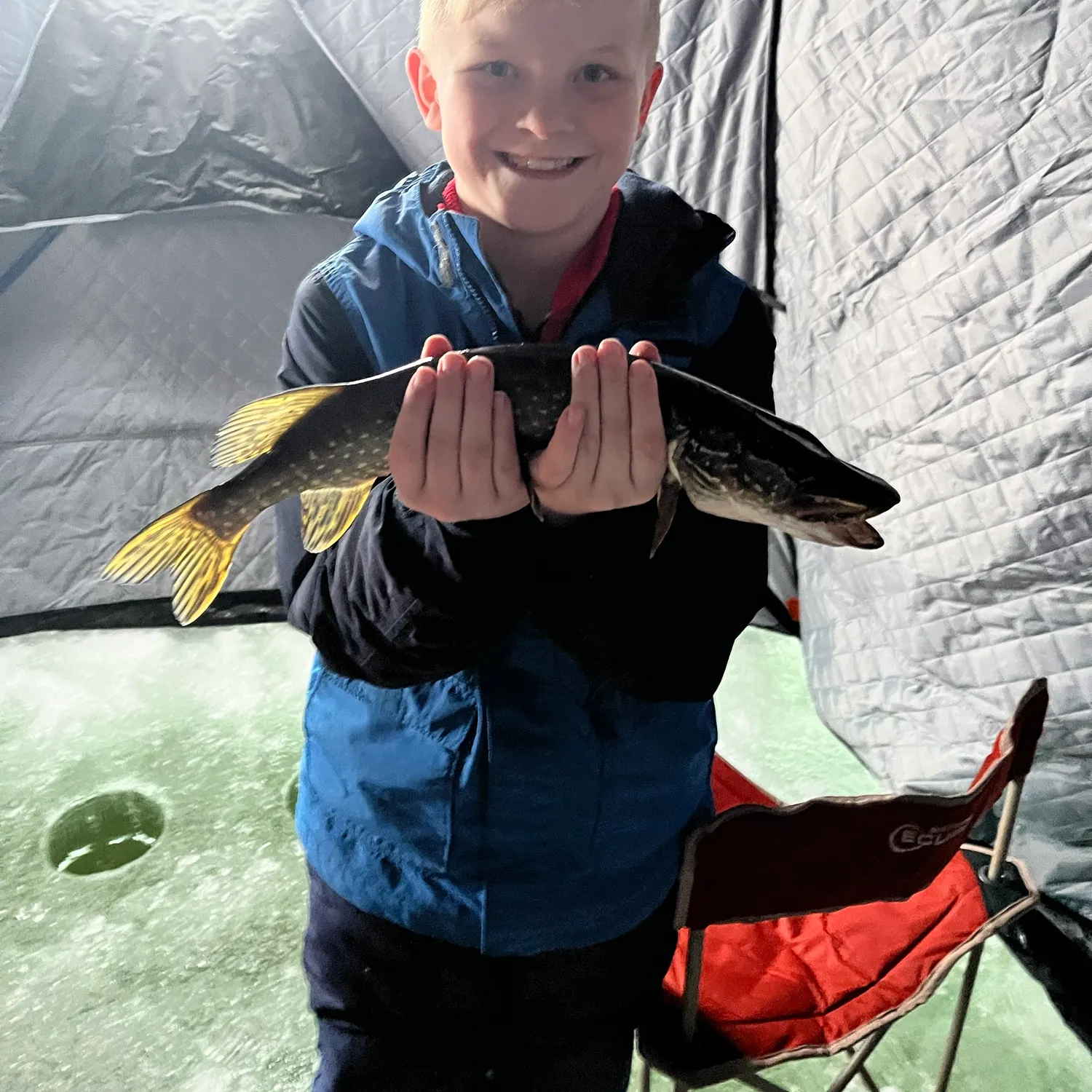 Northern pike caught on Fishbrain