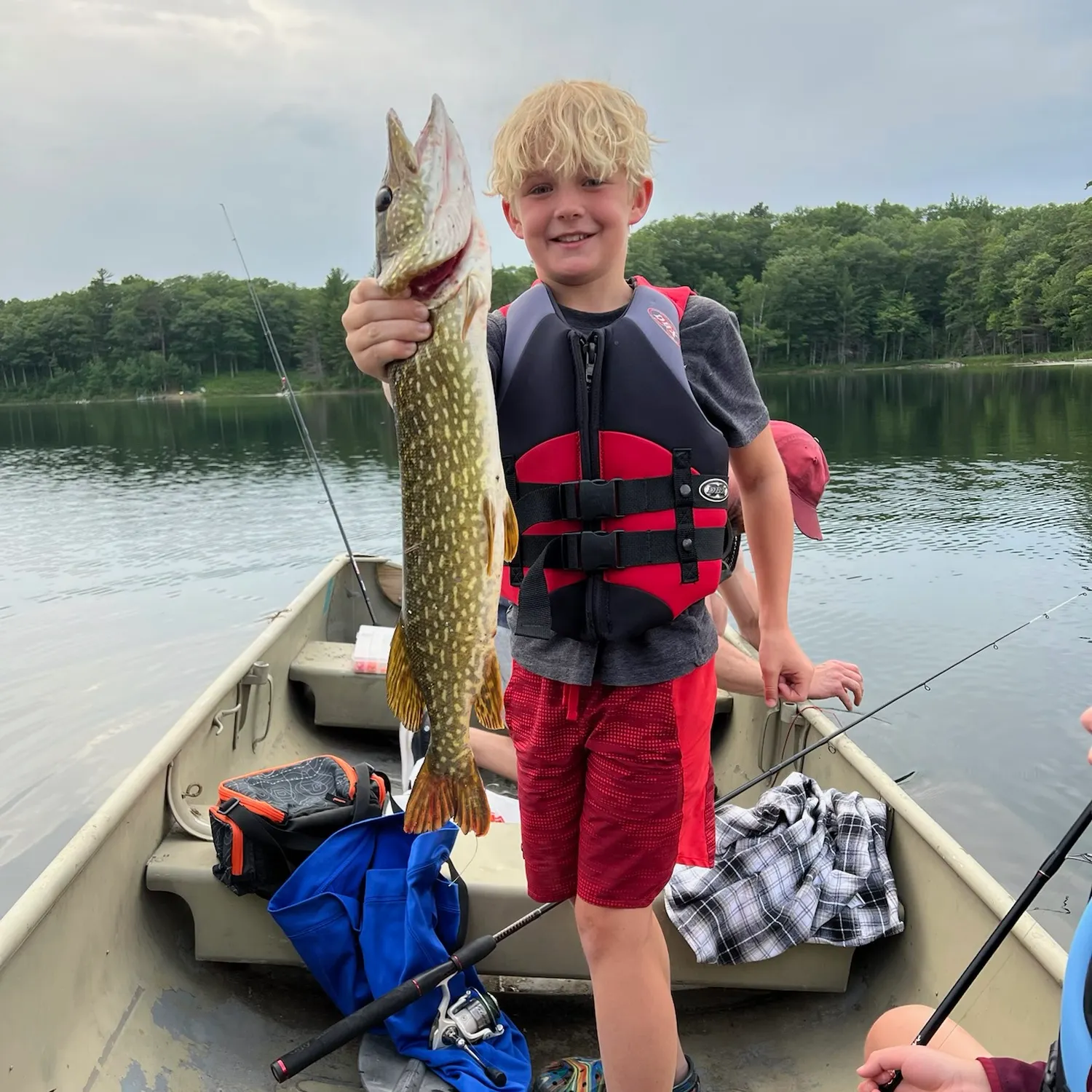 Northern pike caught on Fishbrain