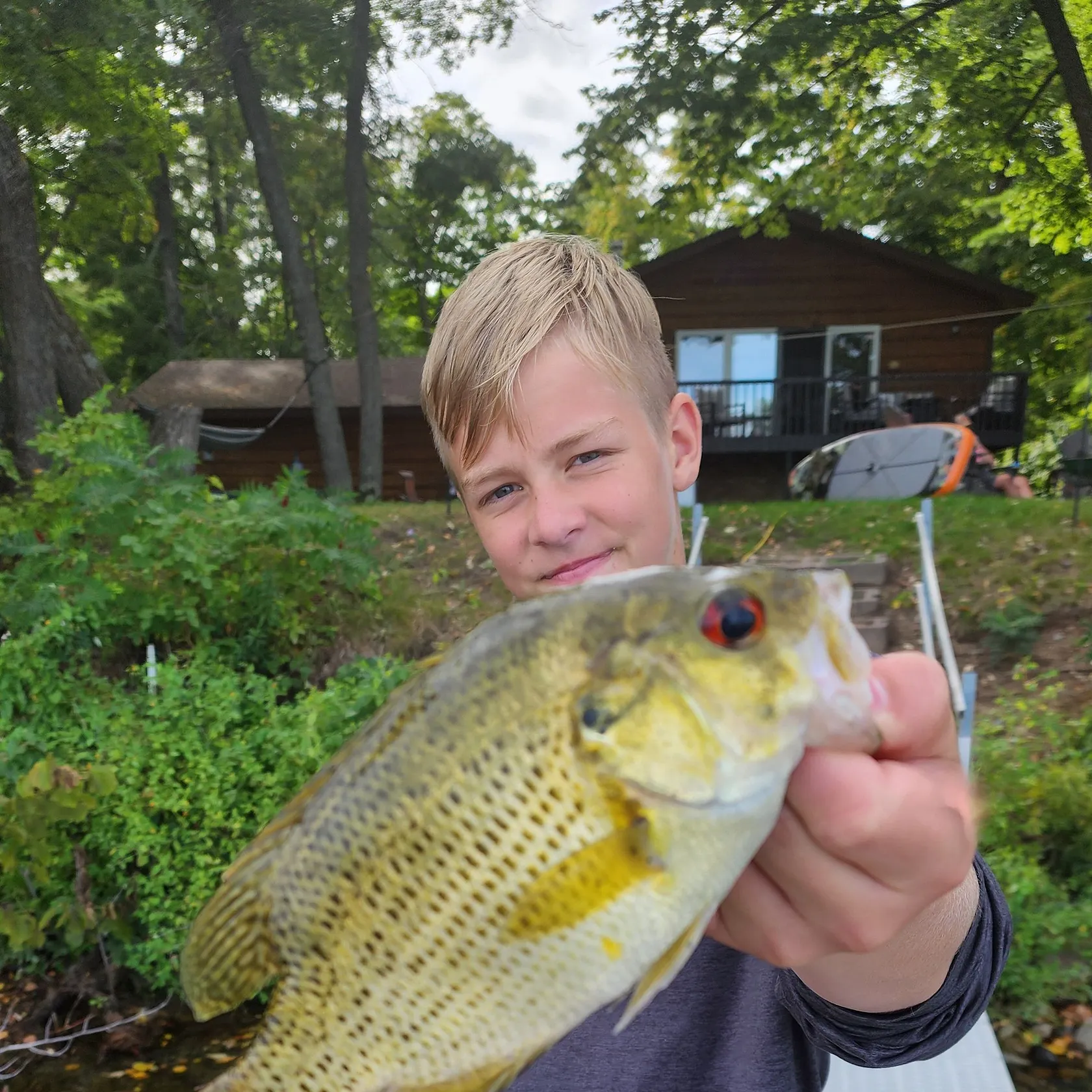 Rock bass caught on Fishbrain
