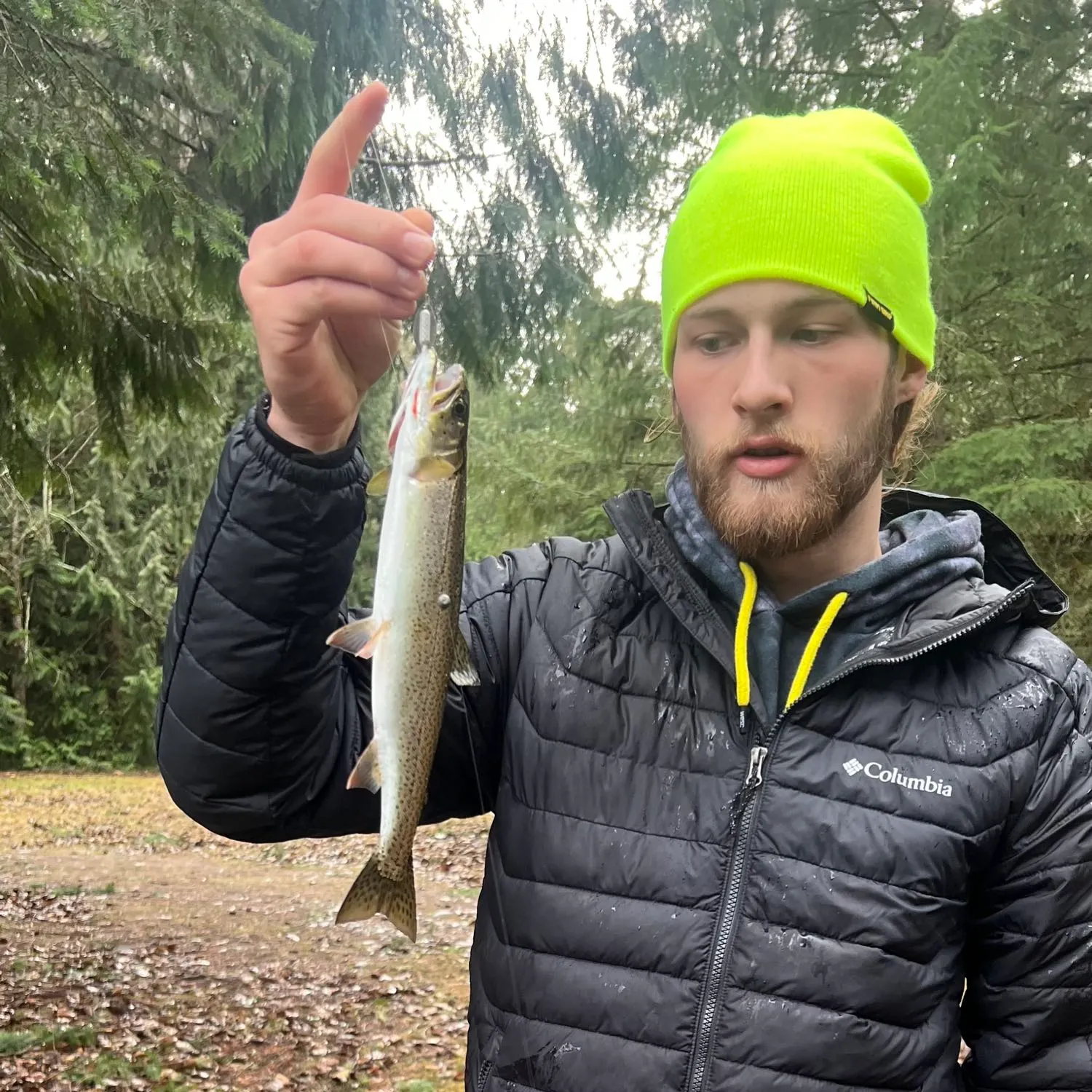 Cutthroat trout caught on Fishbrain