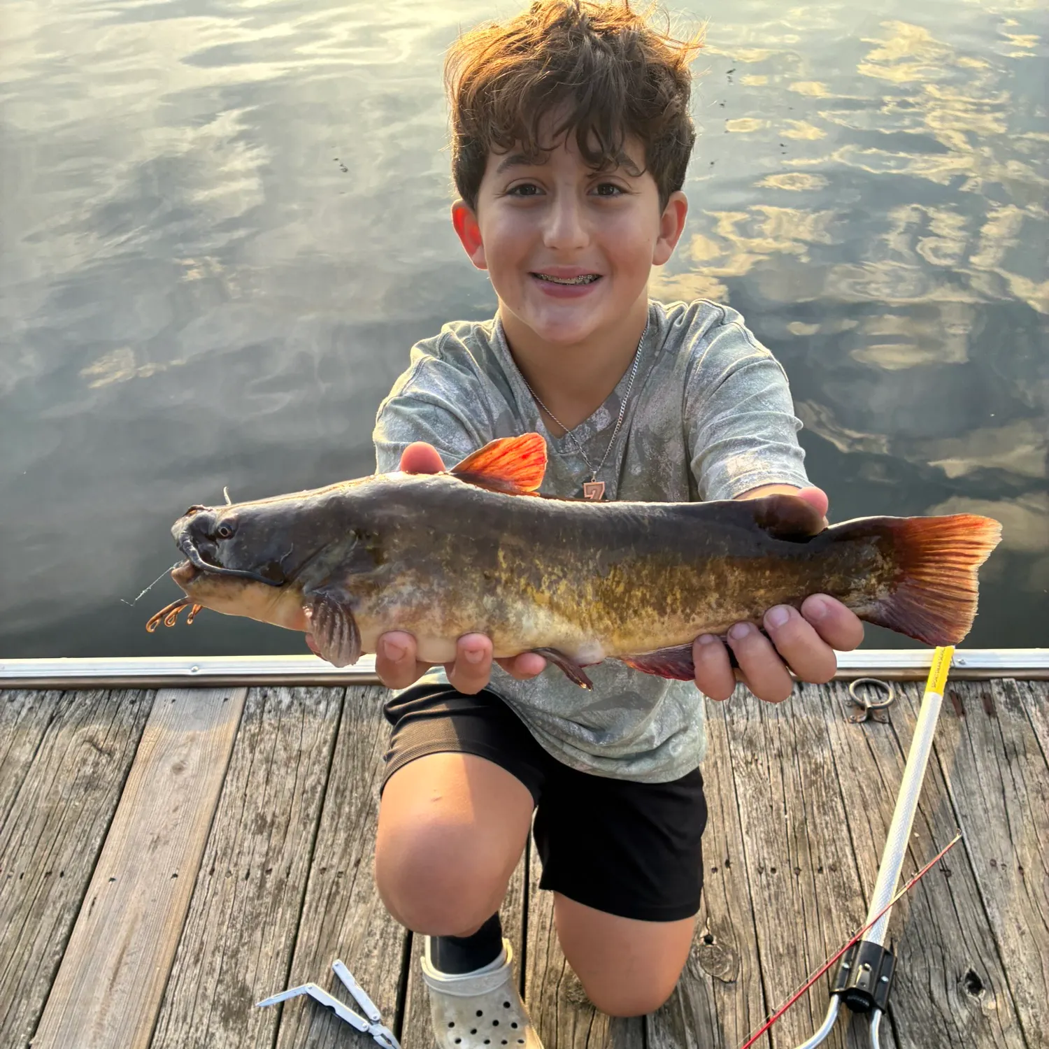 Brown bullhead caught on Fishbrain