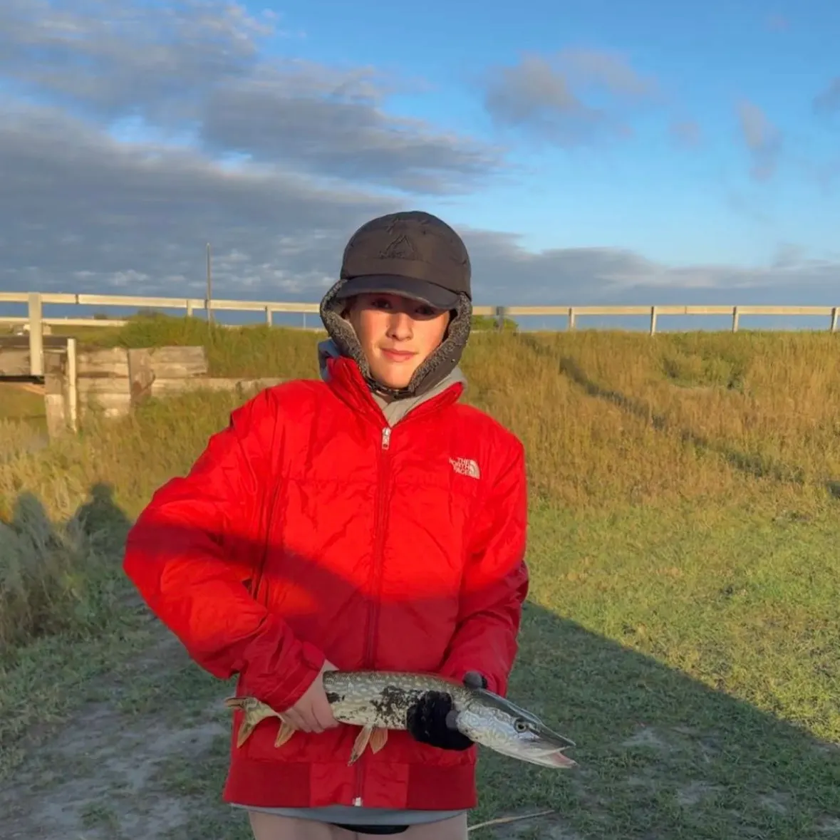 Northern pike caught on Fishbrain