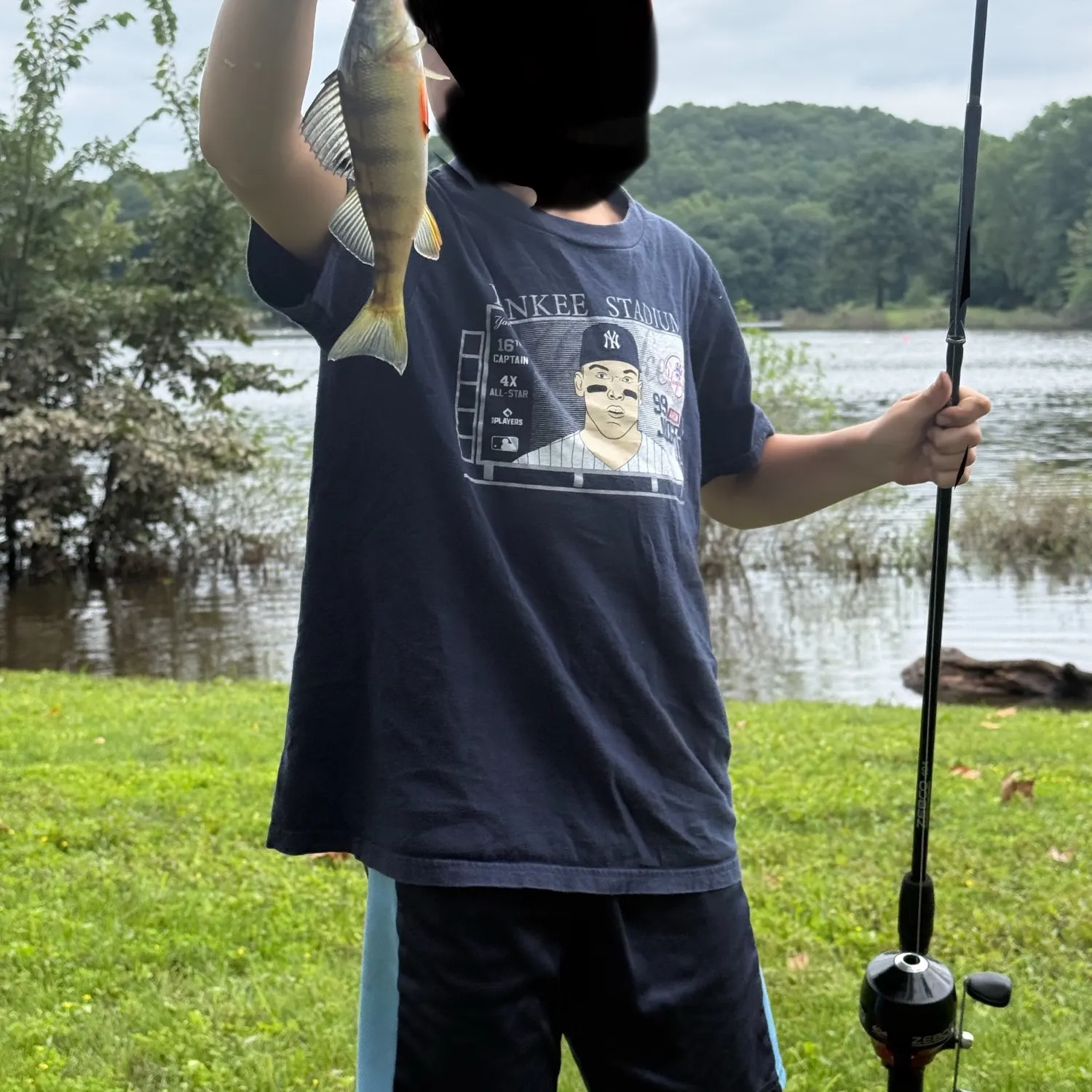 Yellow perch caught on Fishbrain