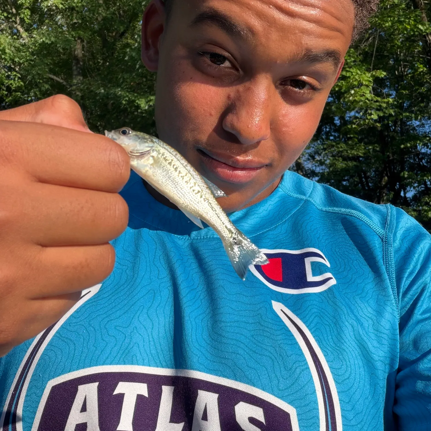 Spotted bass caught on Fishbrain