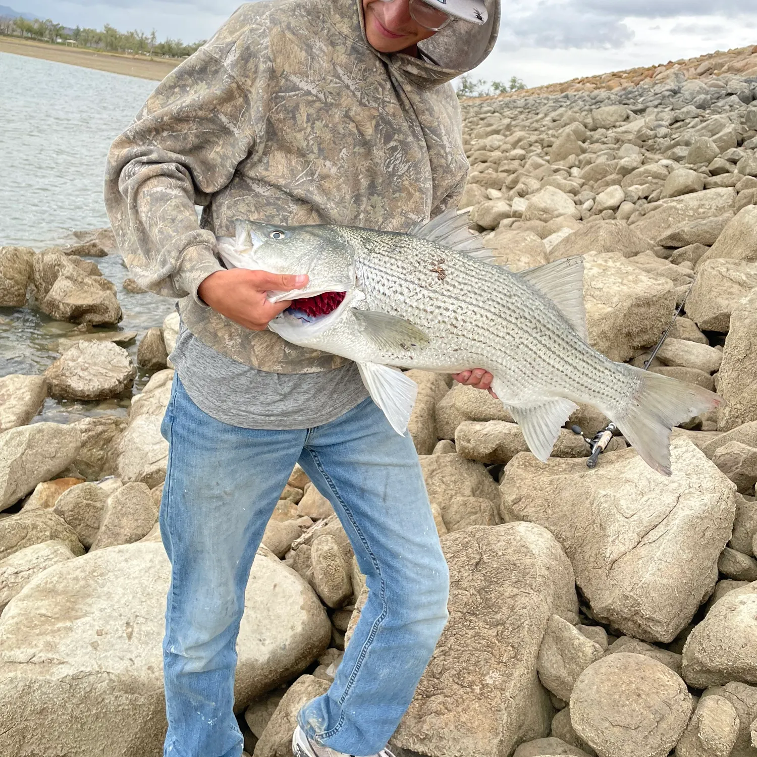 Wiper caught on Fishbrain