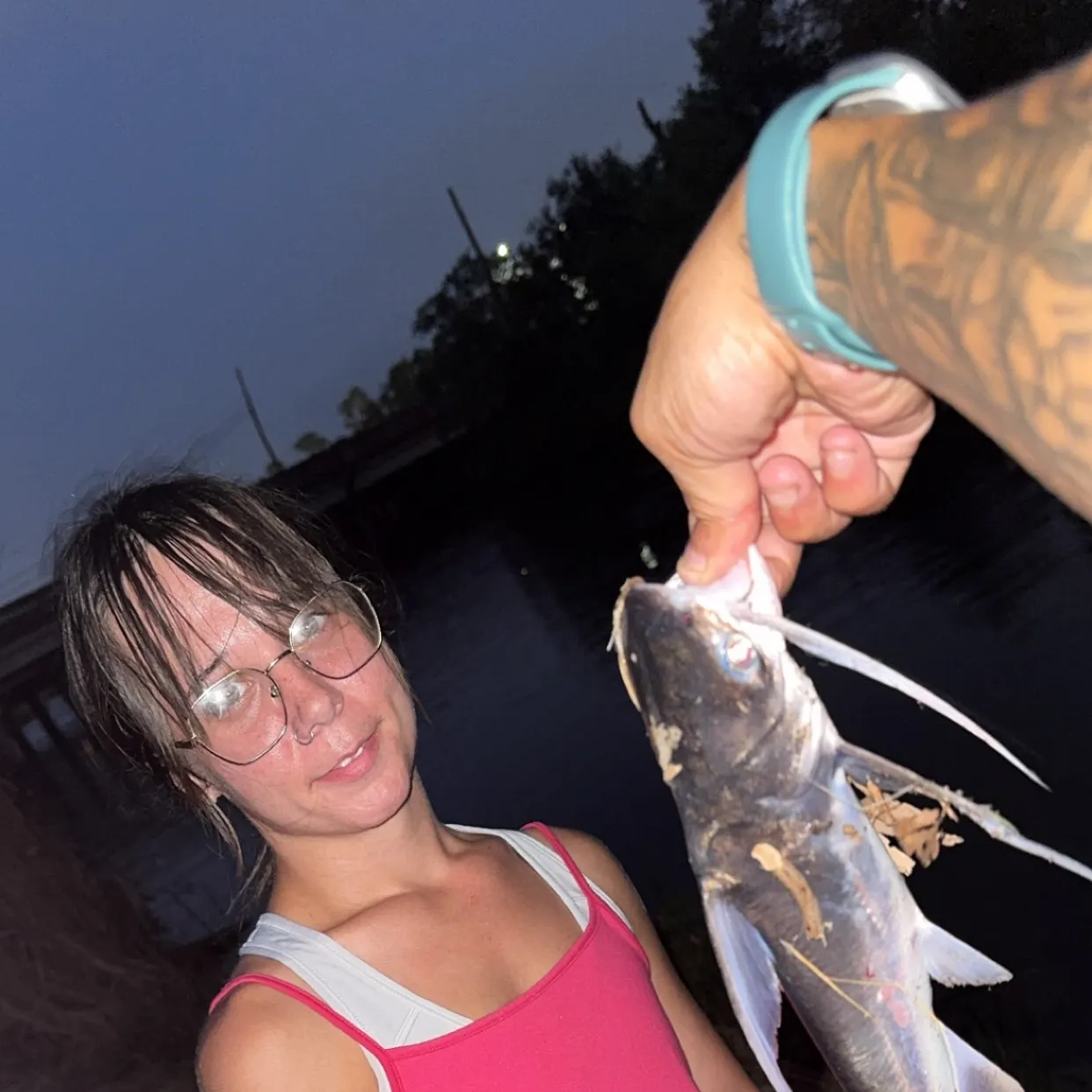 Gafftopsail sea catfish caught on Fishbrain