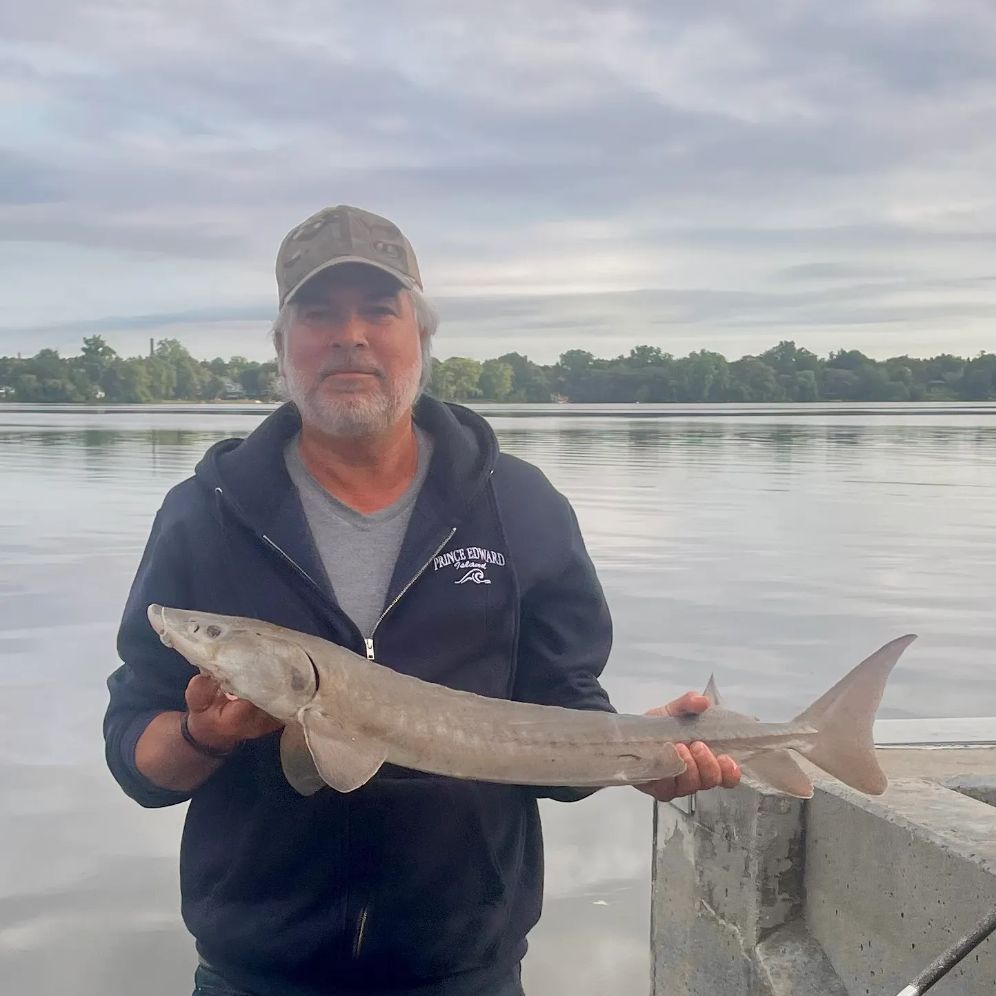 Lake sturgeon caught on Fishbrain
