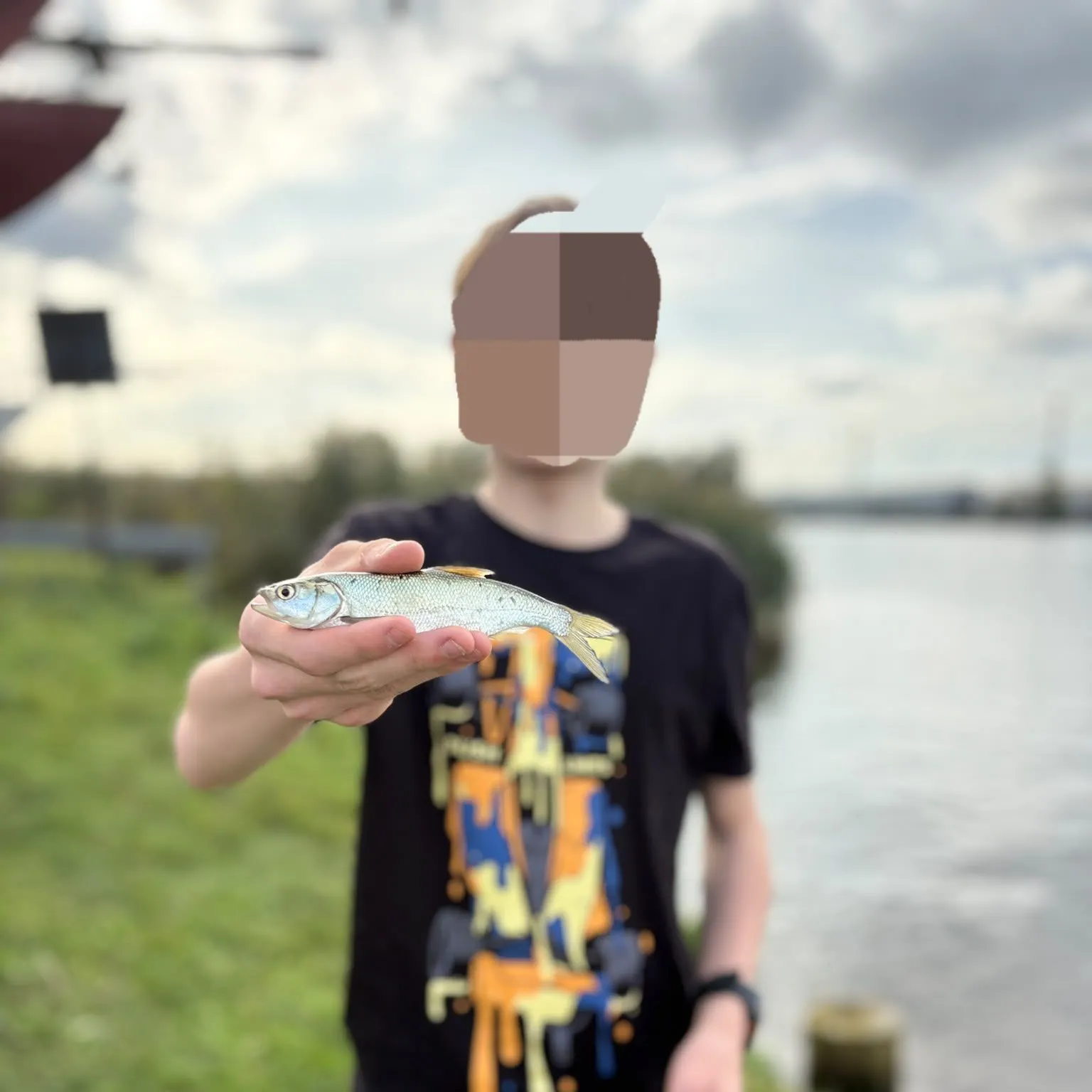 Asp caught on Fishbrain