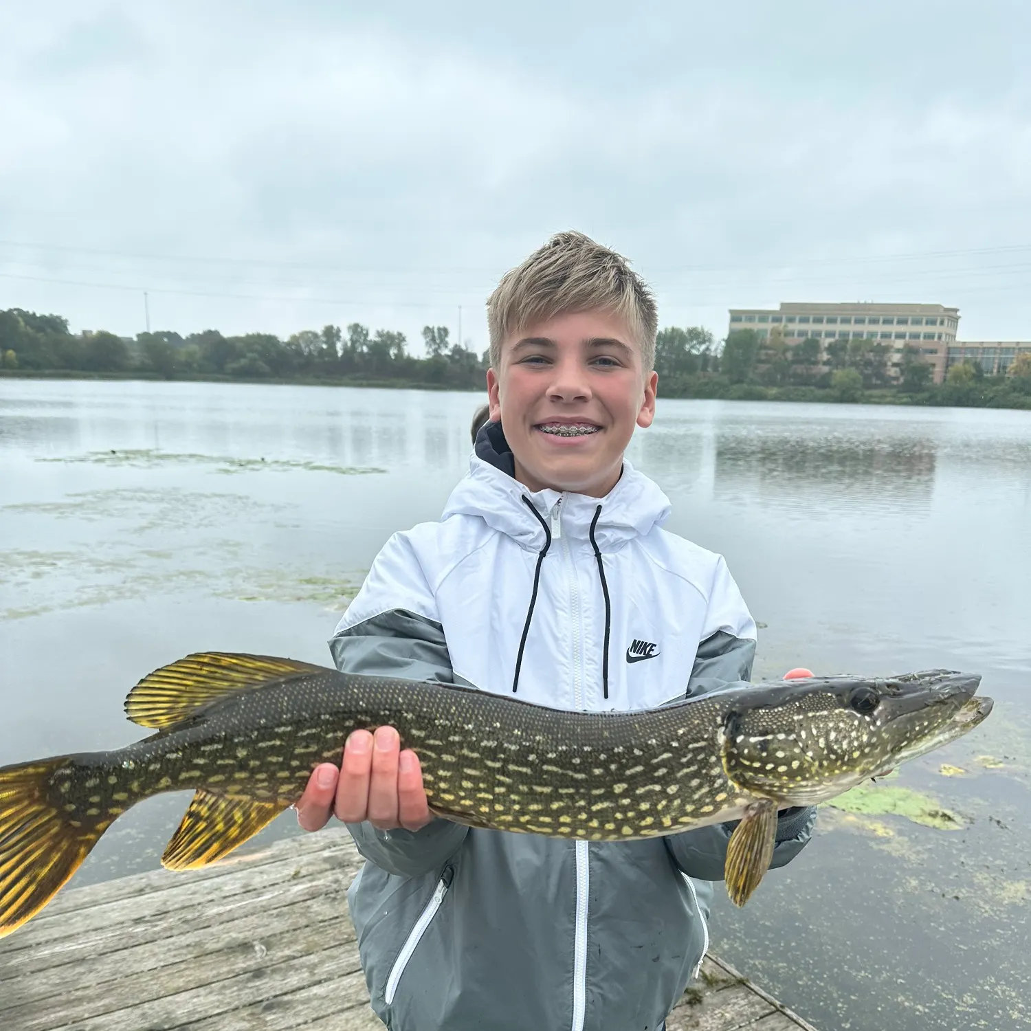 Northern pike caught on Fishbrain