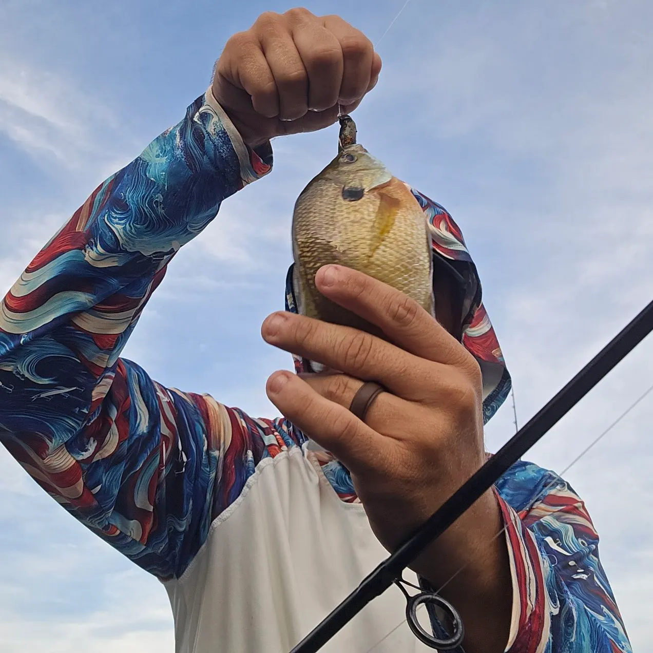 Bluegill caught on Fishbrain