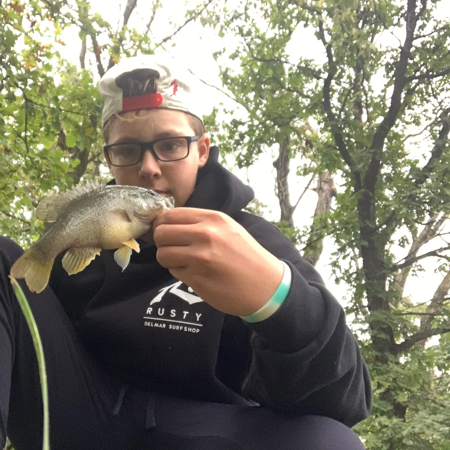 Green sunfish caught on Fishbrain