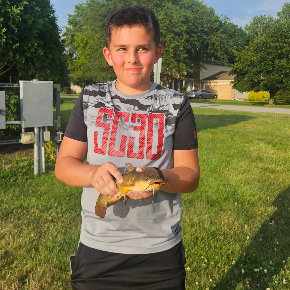 Yellow bullhead caught on Fishbrain