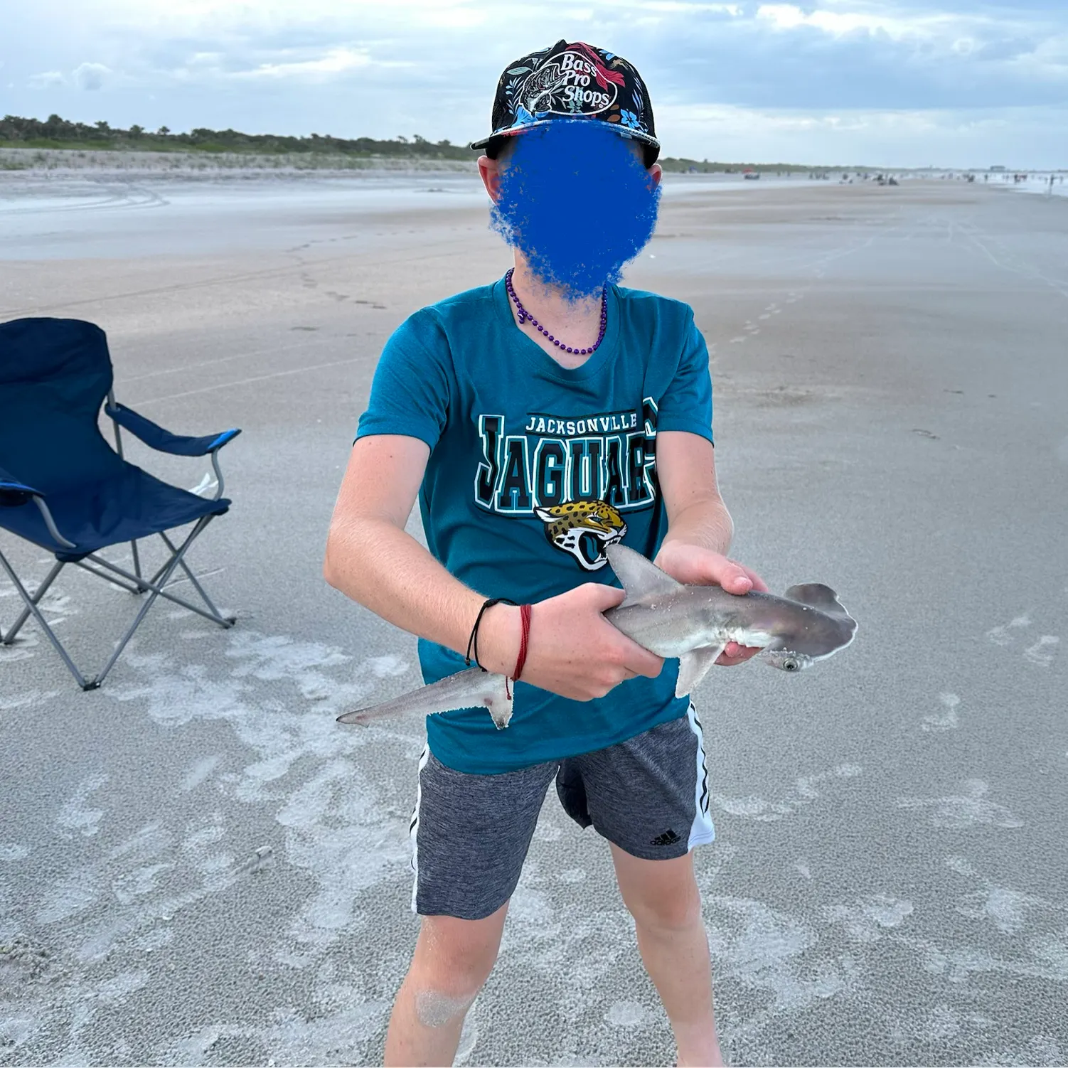 The most recent Scalloped hammerhead shark catches on Fishbrain