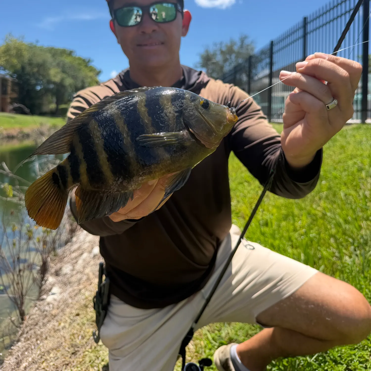 The most recent Mayan cichlid catches on Fishbrain