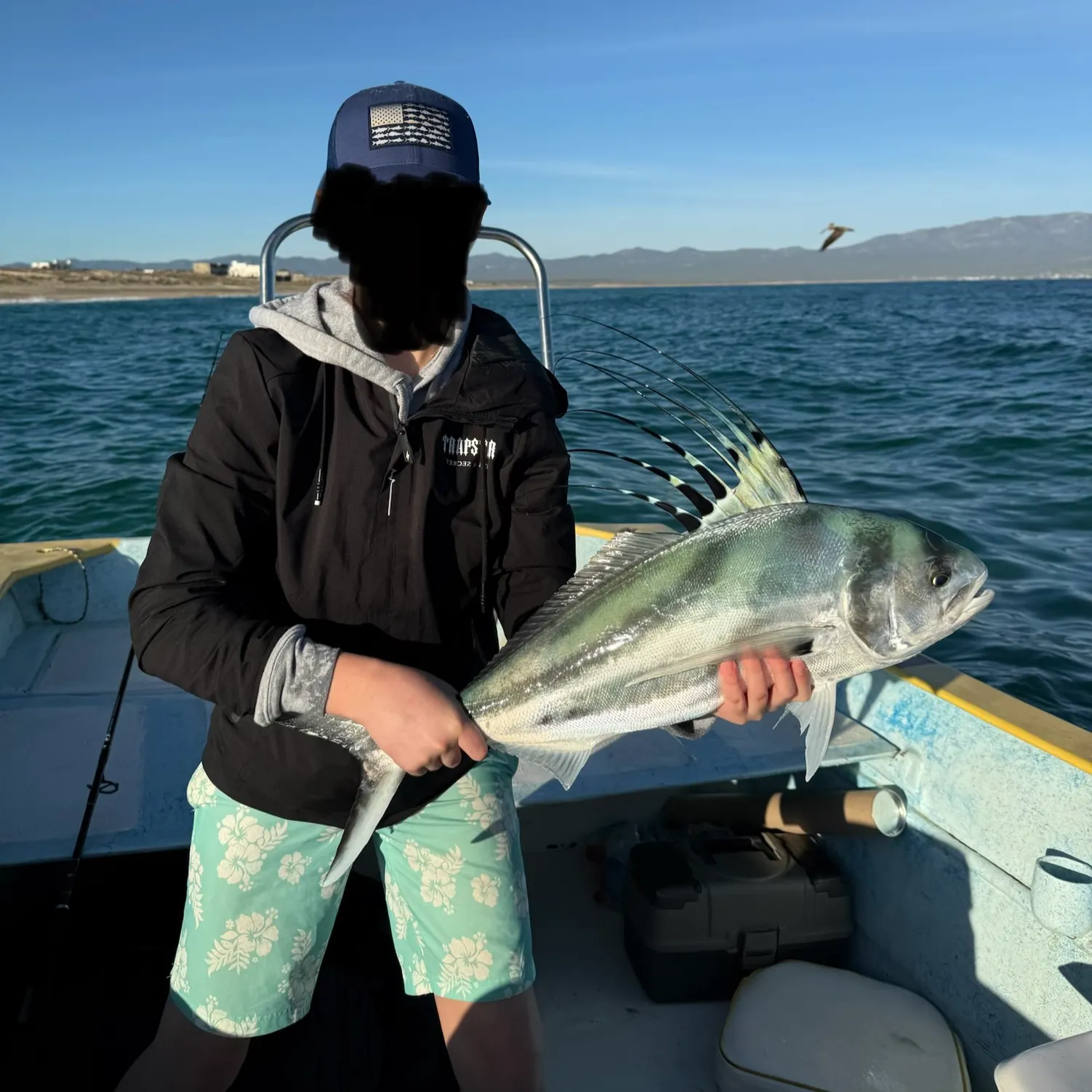 The most recent Roosterfish catches on Fishbrain