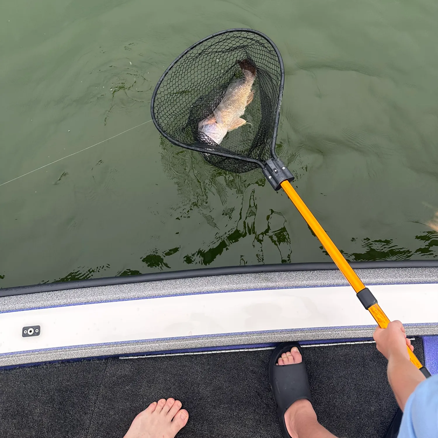 catch
