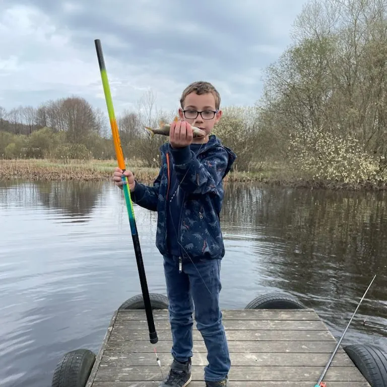 Common roach caught on Fishbrain