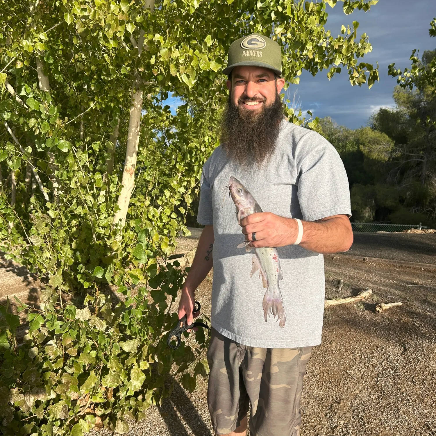 Channel catfish caught on Fishbrain