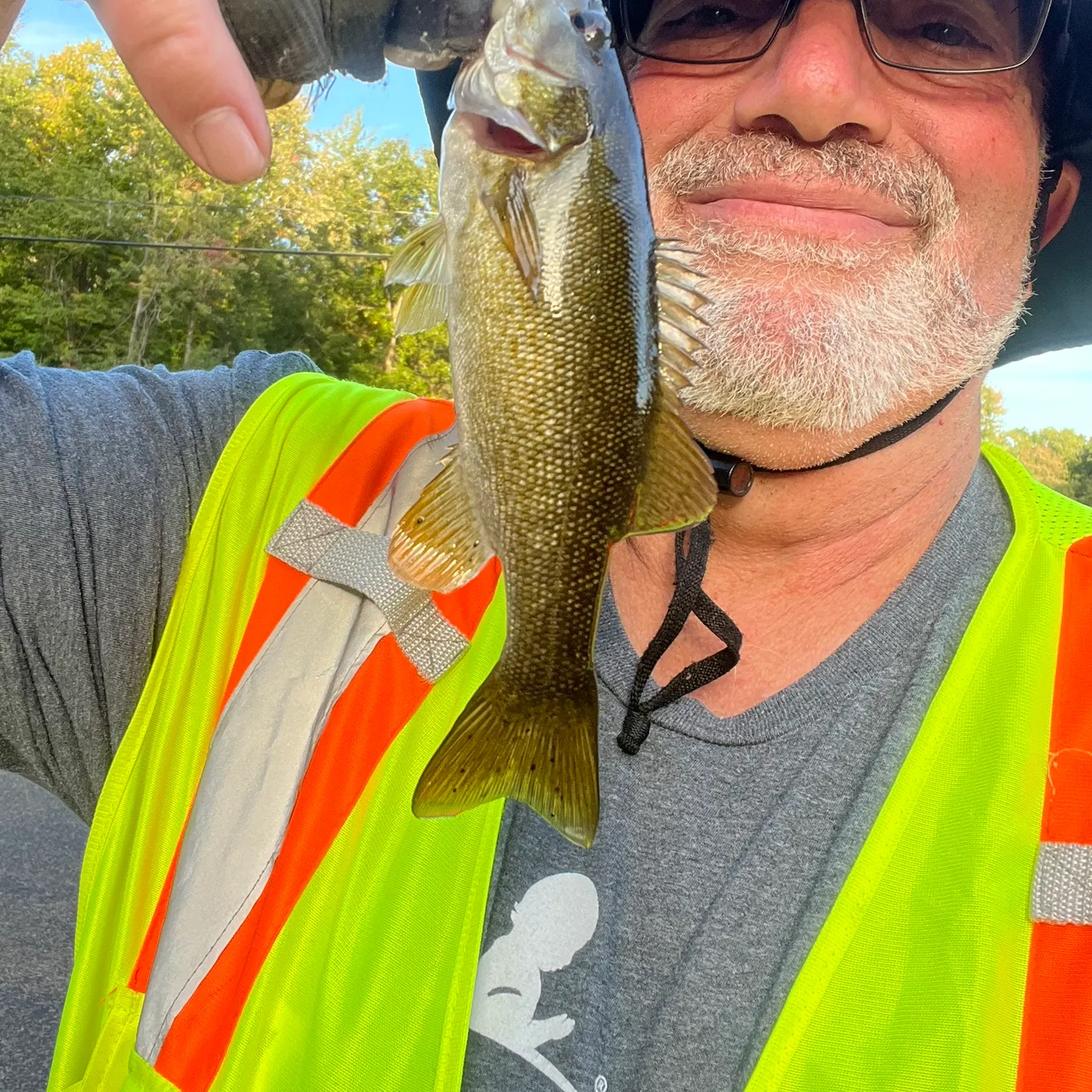 Smallmouth bass caught on Fishbrain