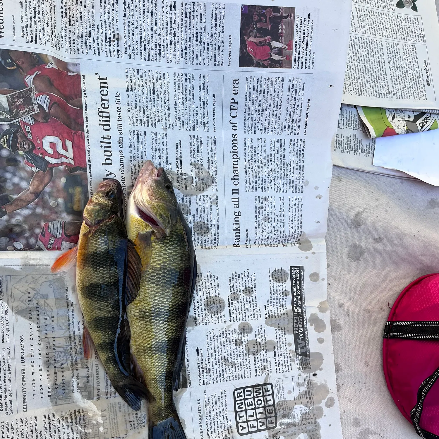 recently logged catches