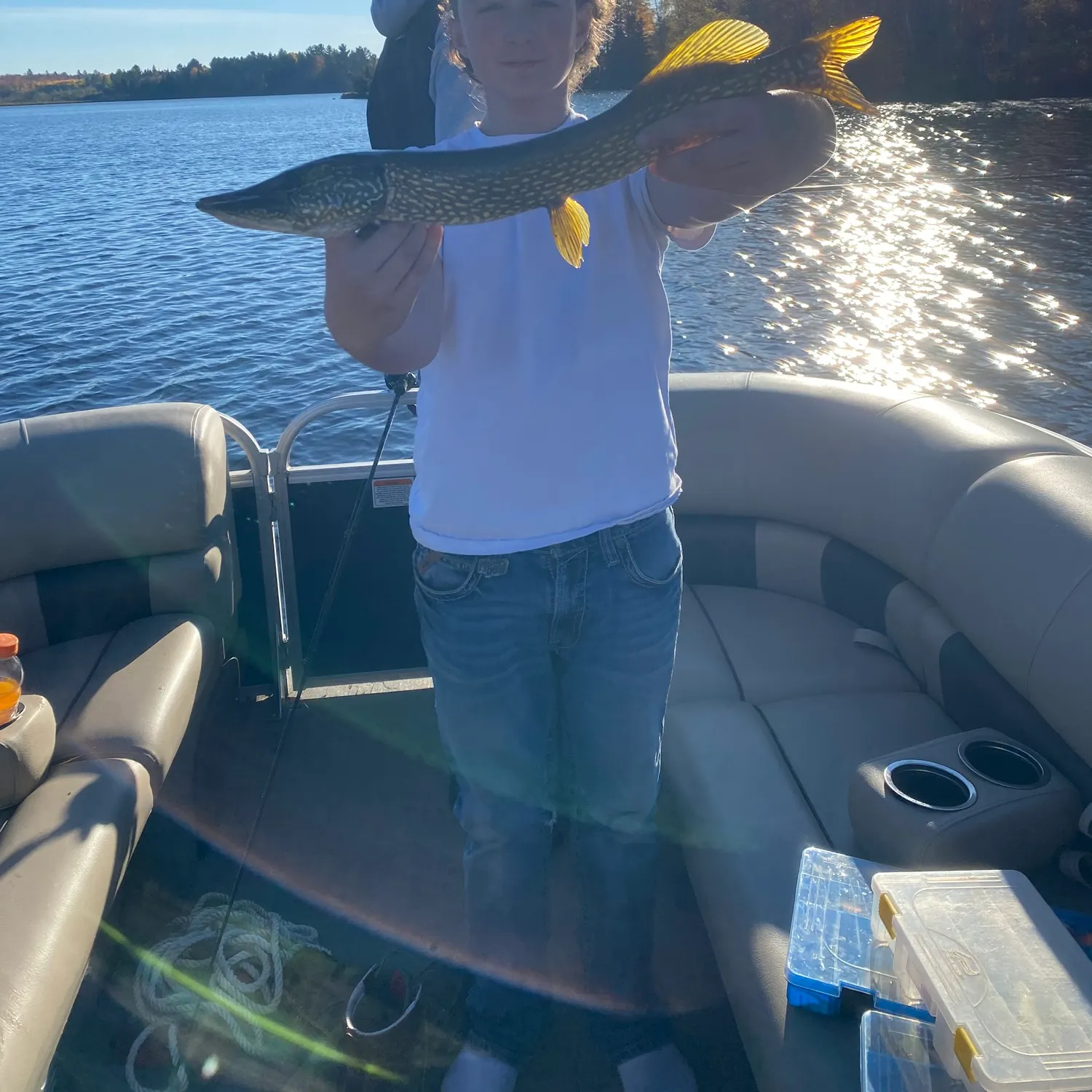 Northern pike caught on Fishbrain