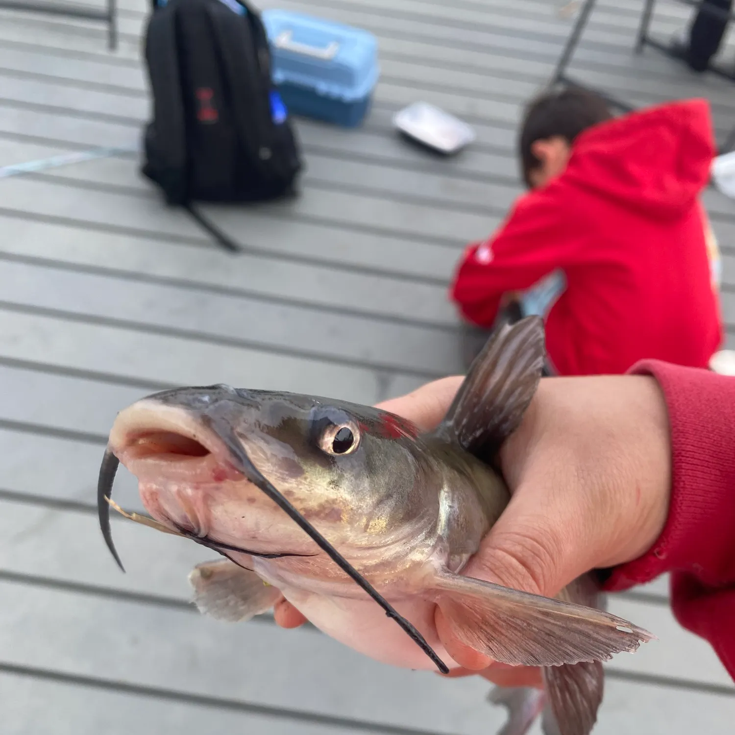 catch