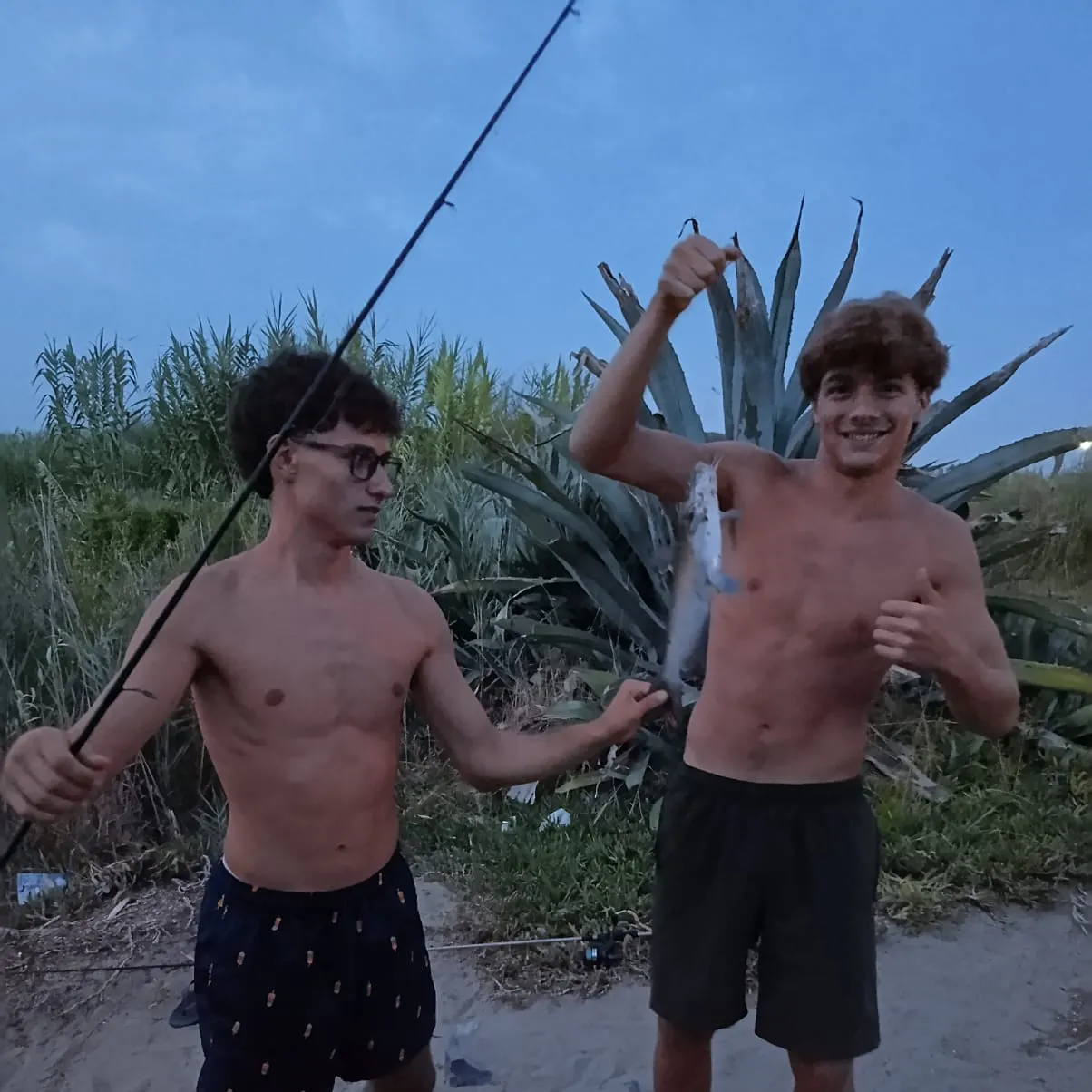 Yellow bullhead caught on Fishbrain