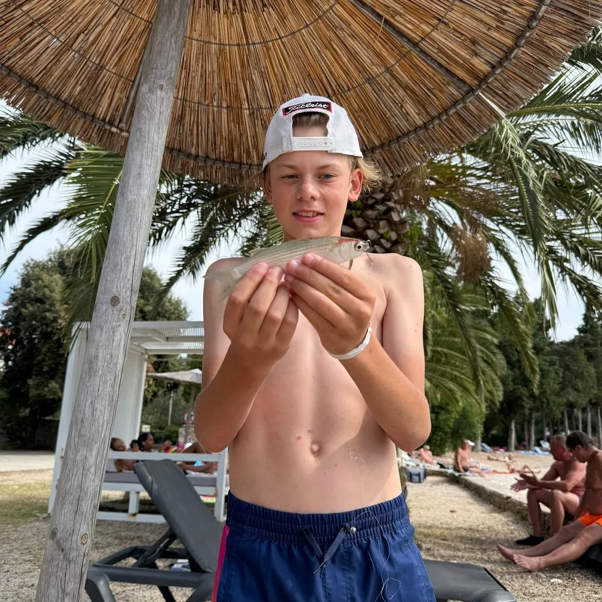 The most recent Striped mullet catches on Fishbrain