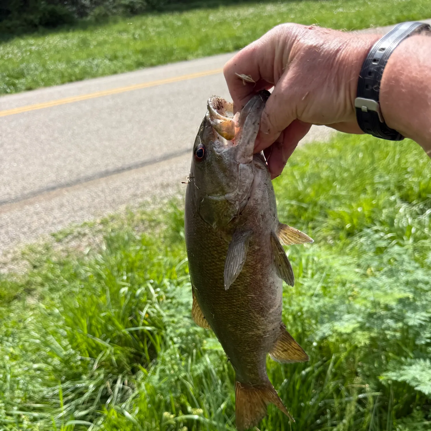 catch