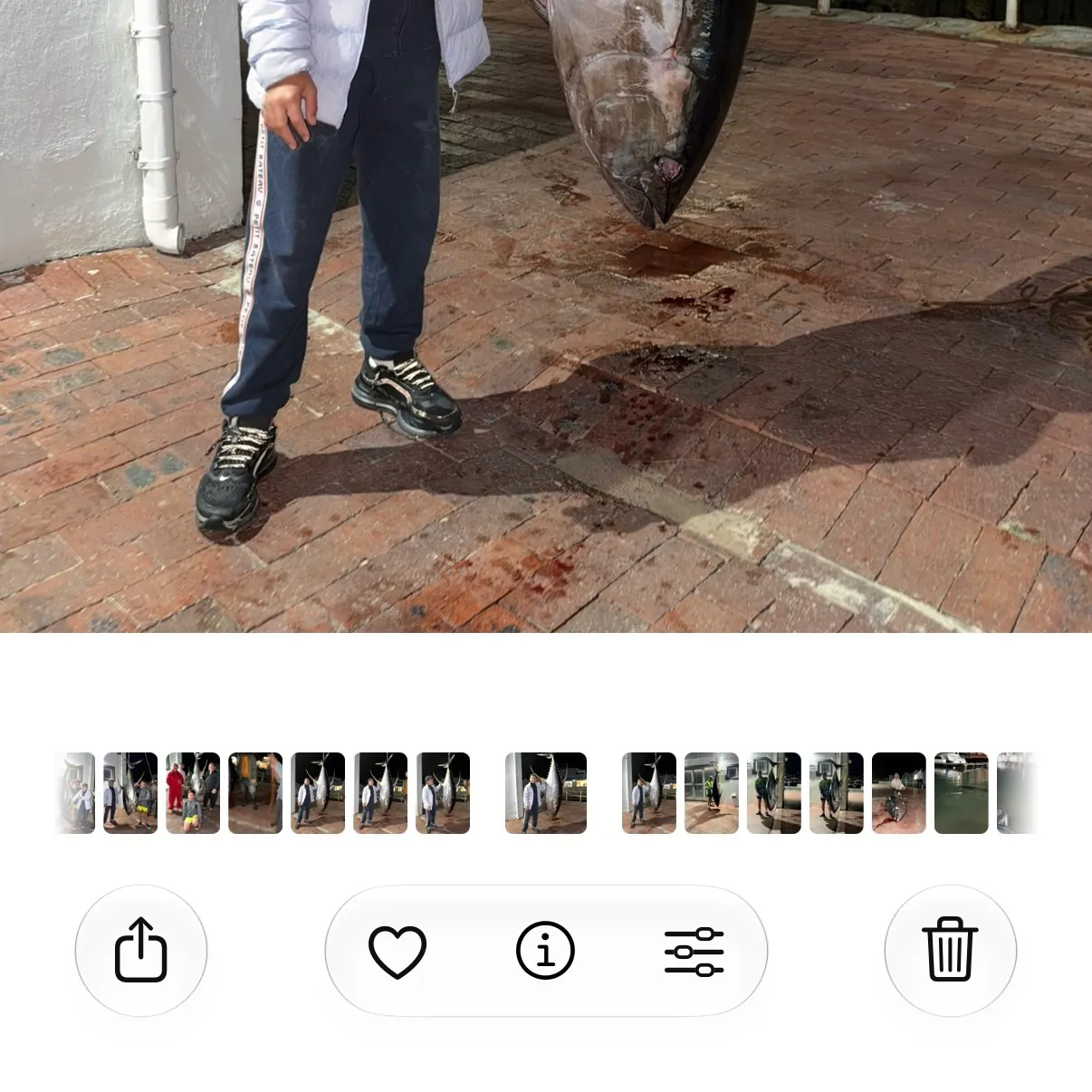 Yellowfin tuna caught on Fishbrain