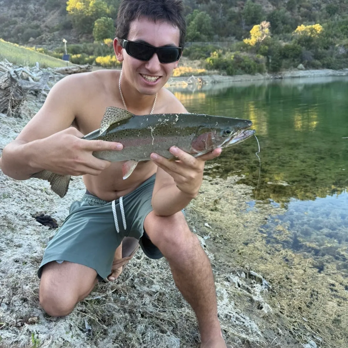 The most recent Steelhead catches on Fishbrain