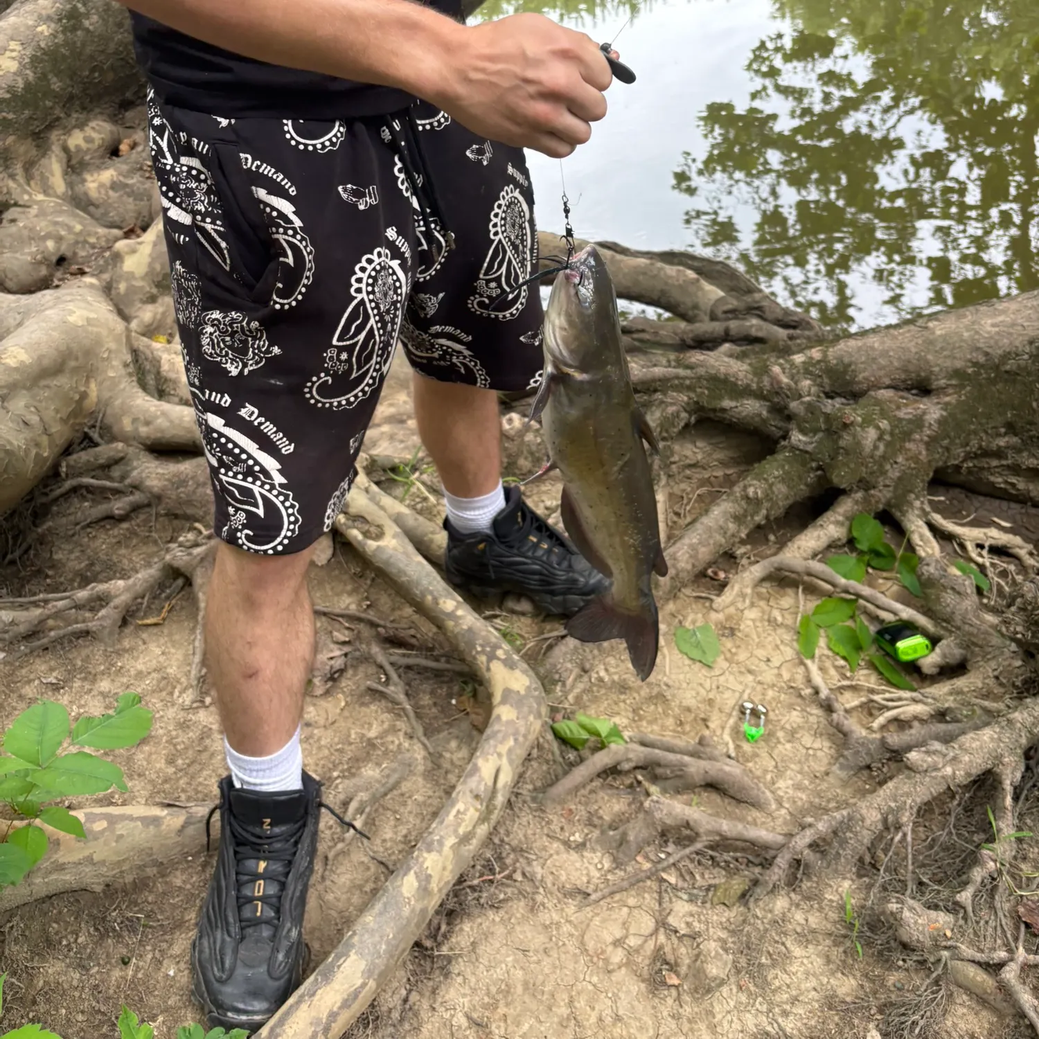 catch