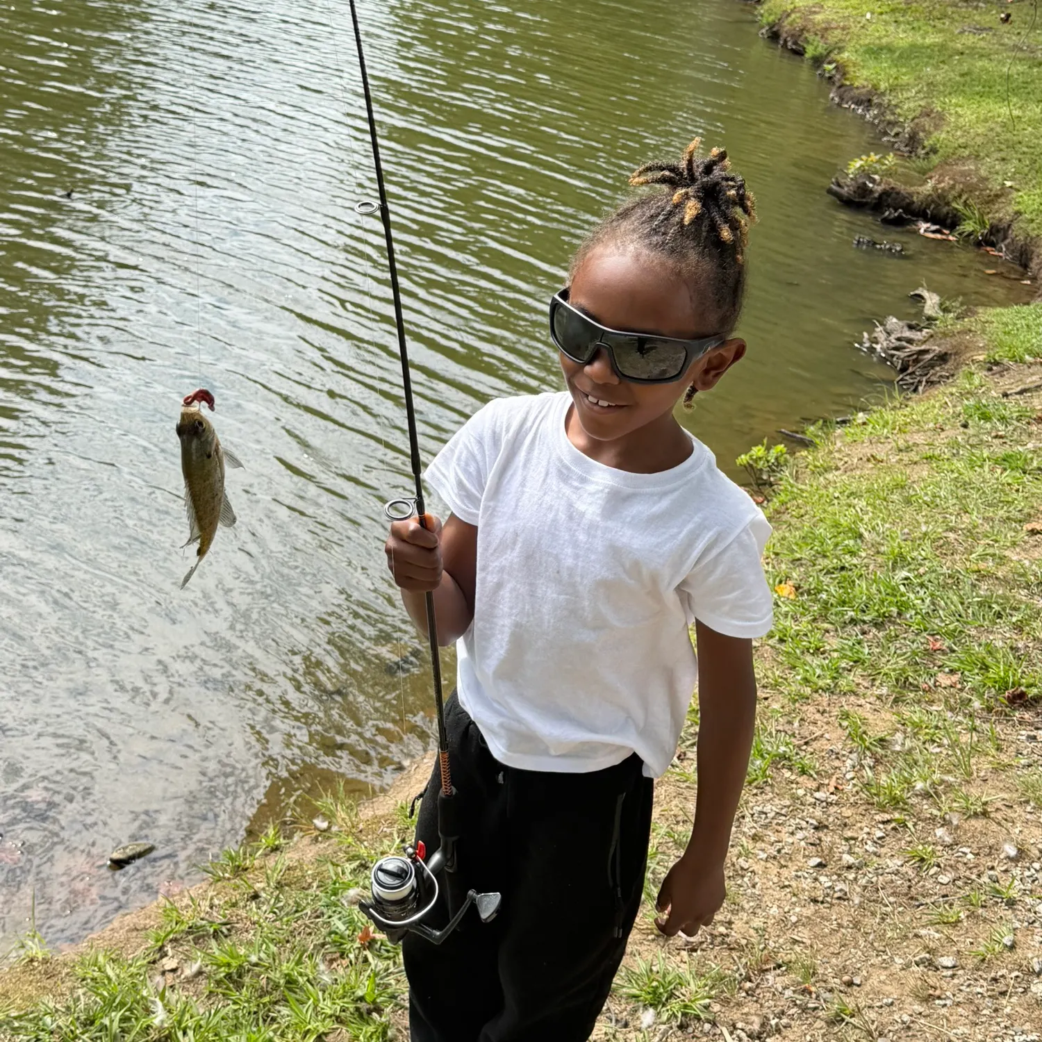 Bluegill caught on Fishbrain