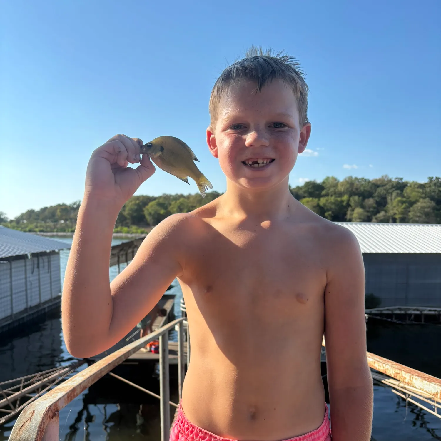 Bluegill caught on Fishbrain