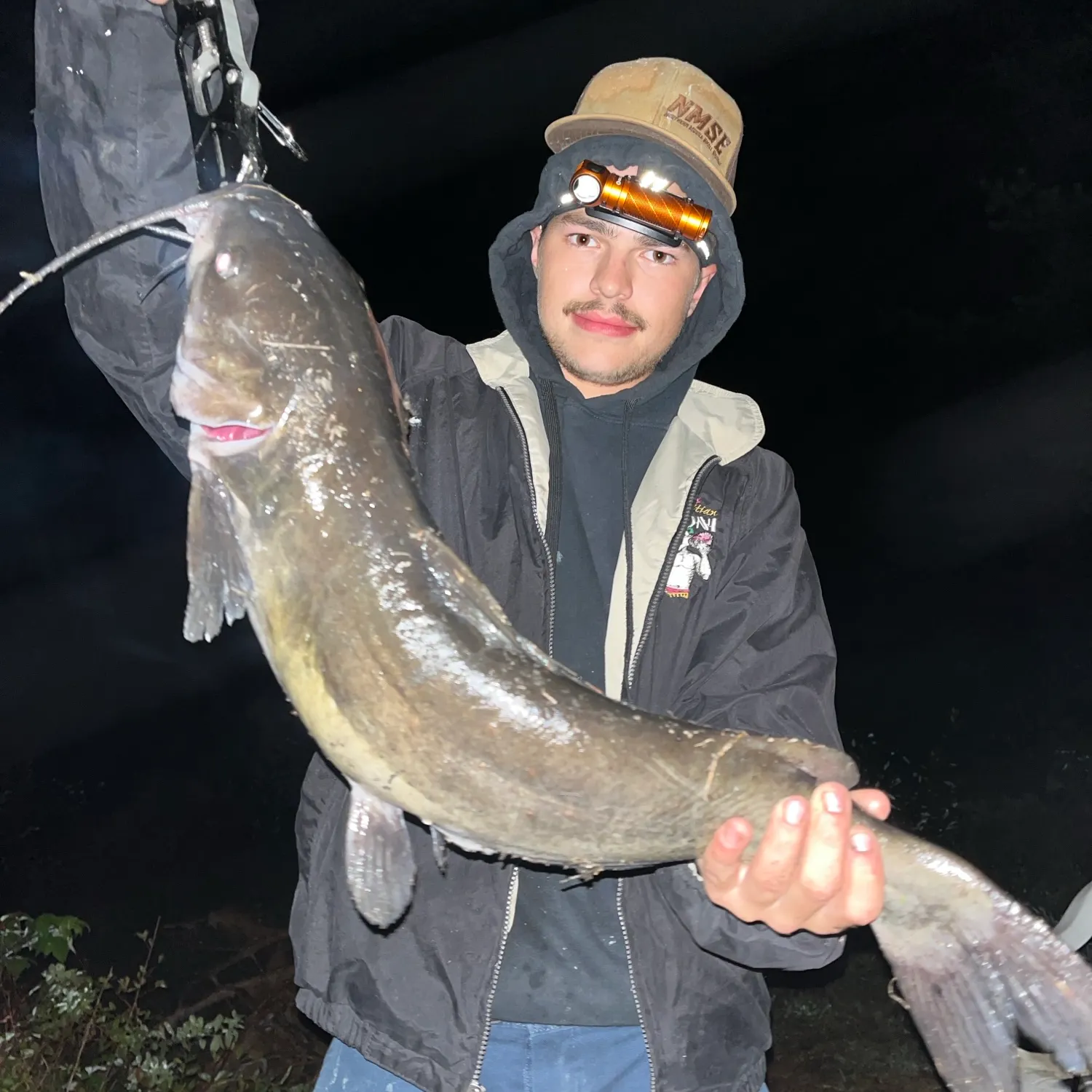 Channel catfish caught on Fishbrain