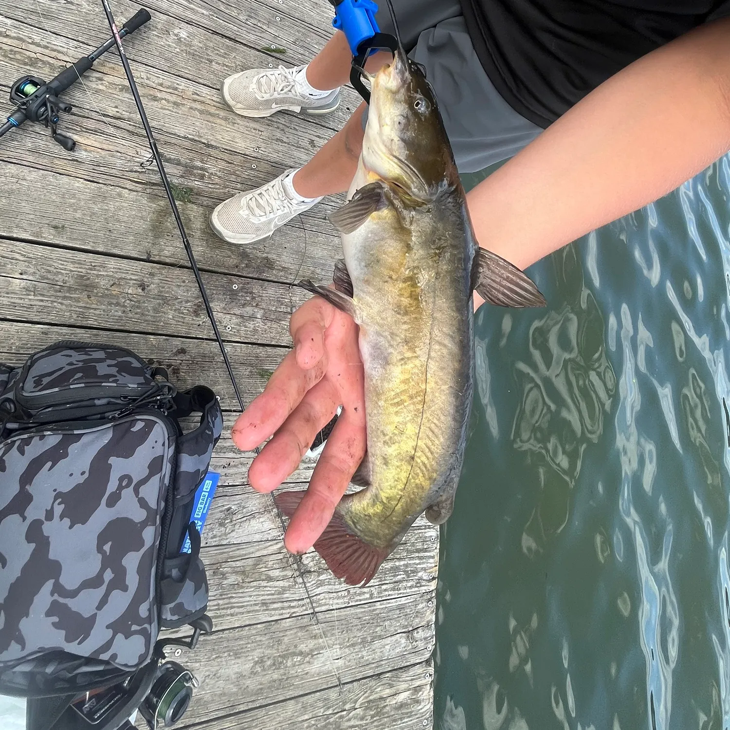 catch