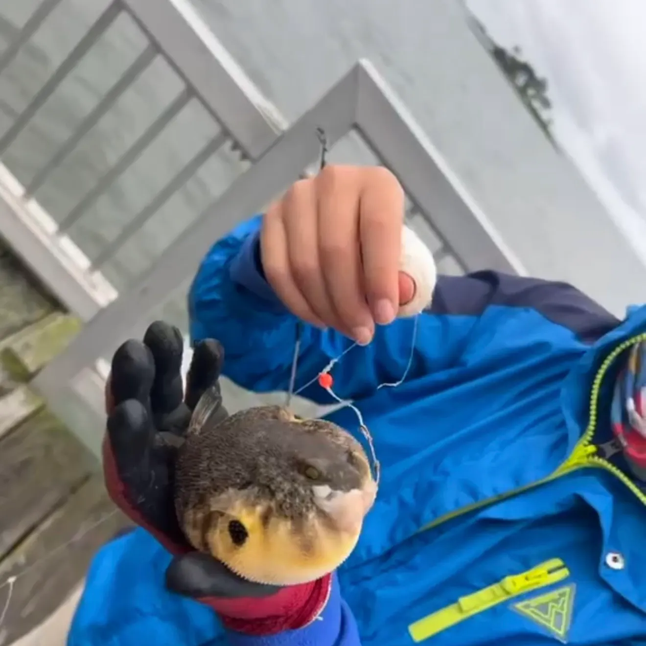 catch